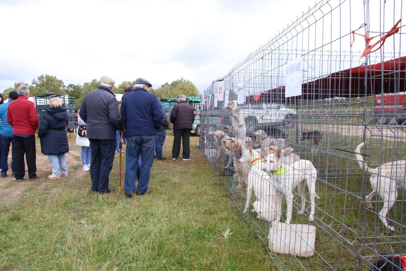 20240501103955-img-2952