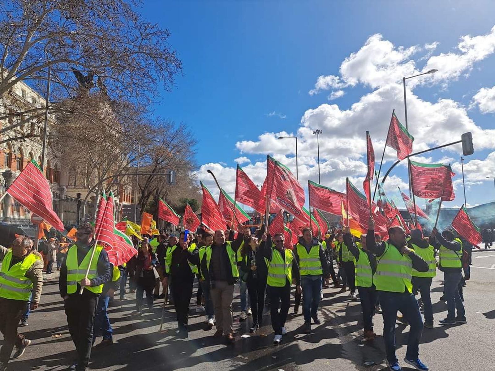 Agricultores y ganaderos zamoranos en Madrid