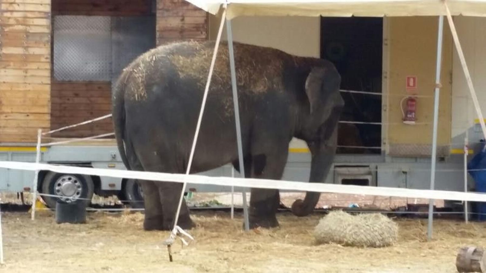 WhatsApp Image 2017 12 26 at 14.17.03 (Copy)