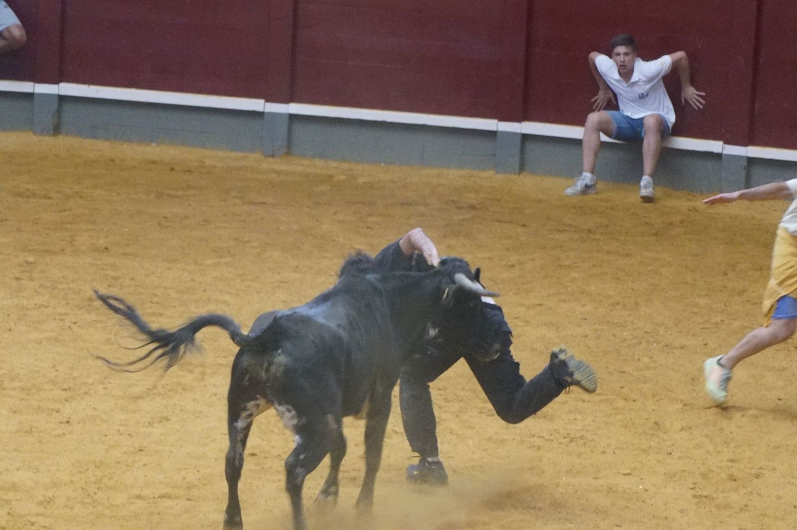 WhatsApp Image 2025-08-24 at 10.00.36.jpeg