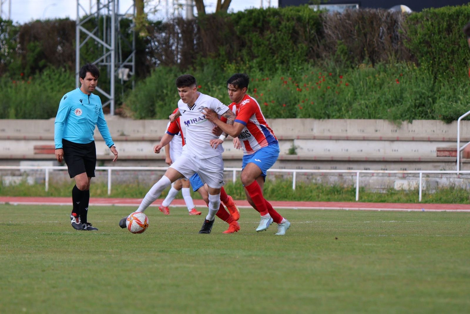 20240427174006-img-1880