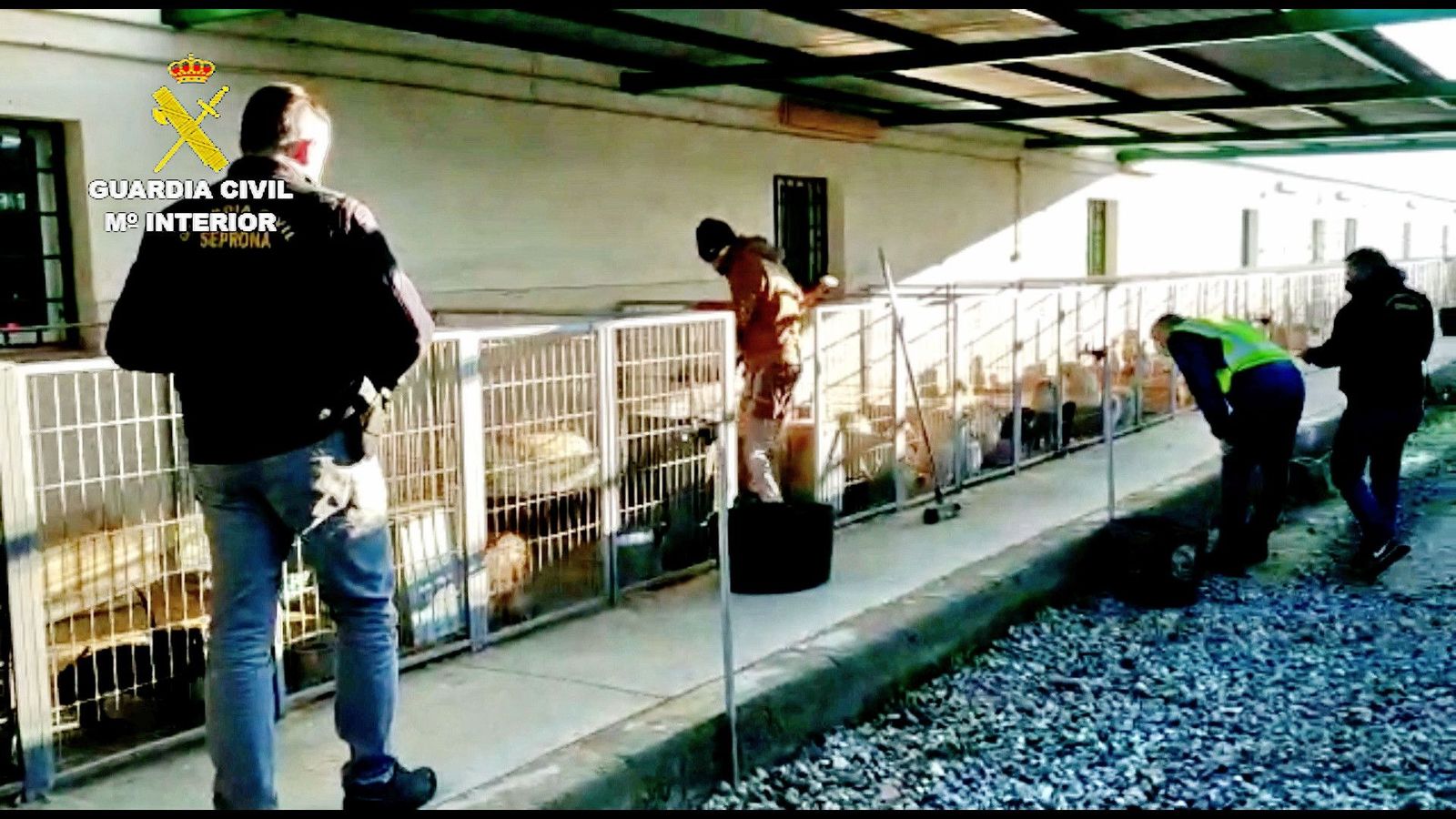 2021 02 07 Taciturno 02