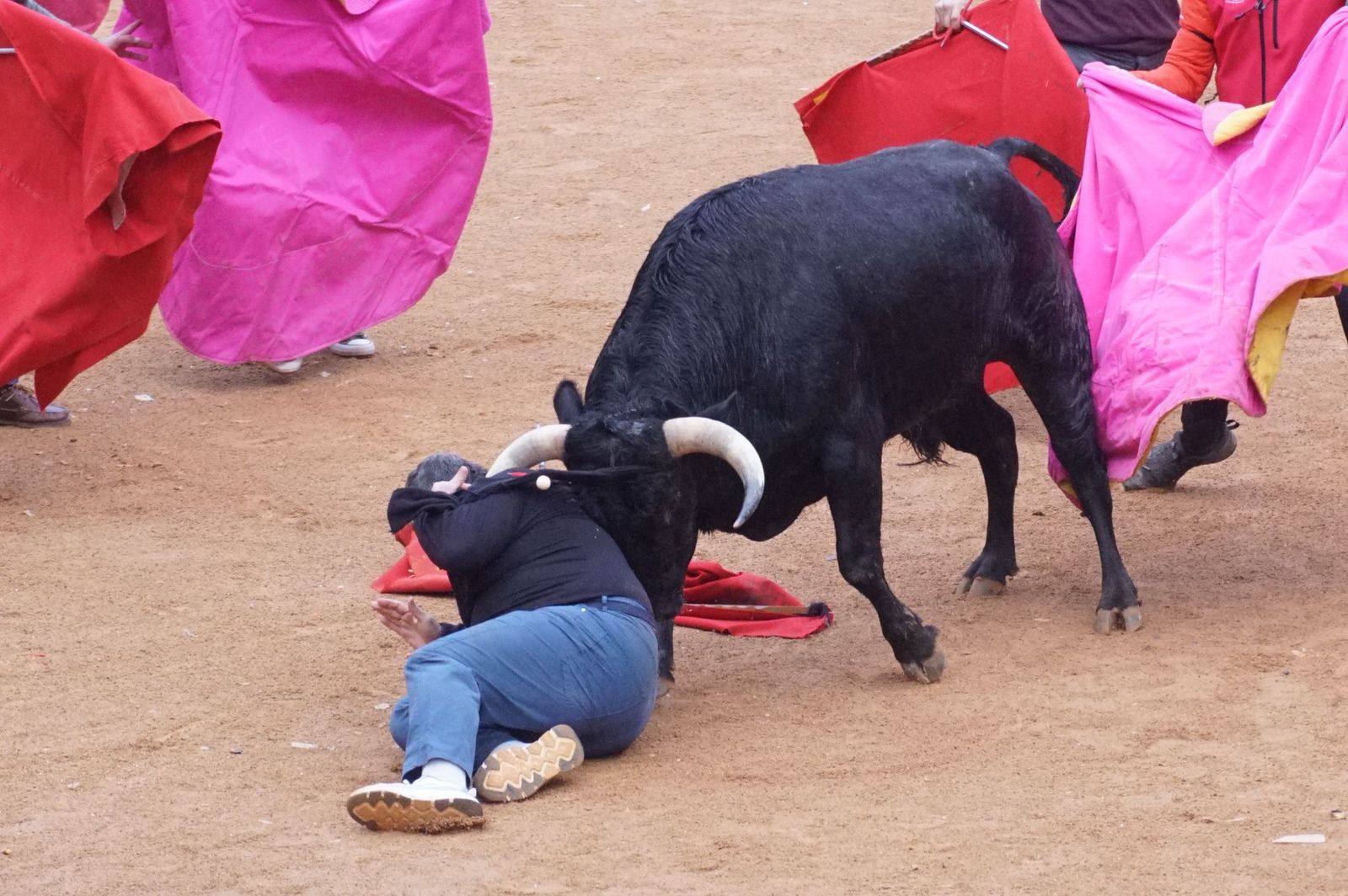 Capea matinal de domingo de carnaval en Ciudad Rodrigo (46).jpeg