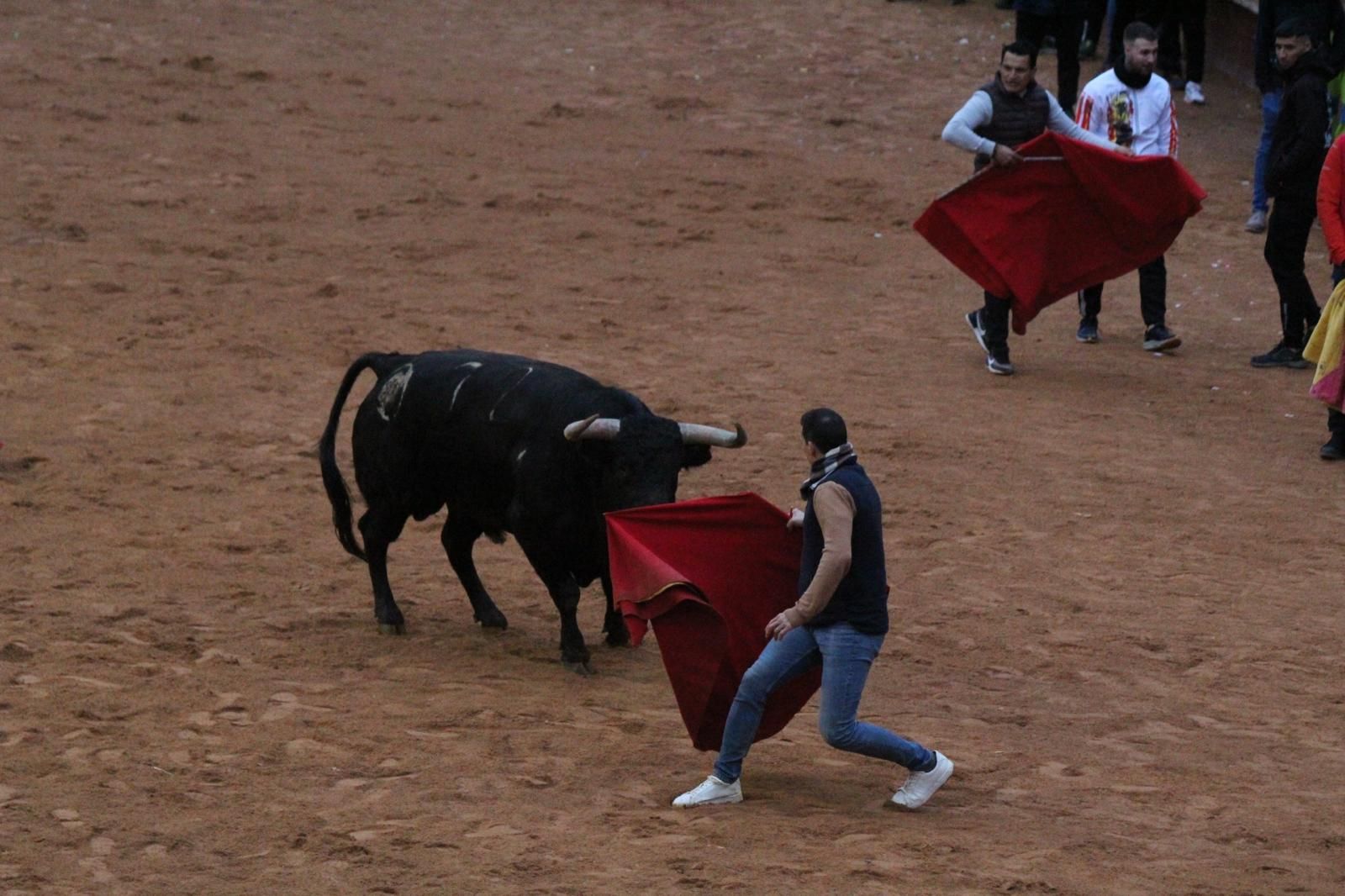 ambiente-y-capea-vespertina-sabado-de-carnaval-en-ciudad-rodrigo-2025-fotos-belen-hurtado-38