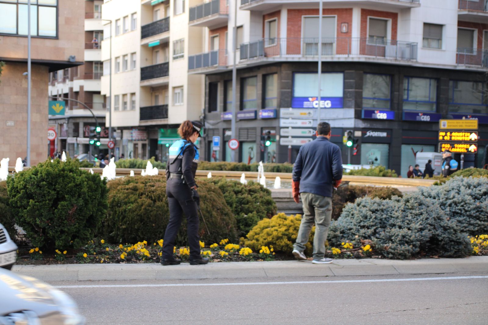 la-policia-local-busca-a-un-vison-refugiado-en-la-fuente-de-la-puerta-de-zamora-fotos-s24h-7