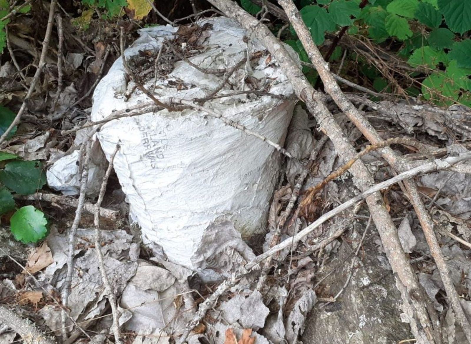 Cantera manzanal arriba (3)