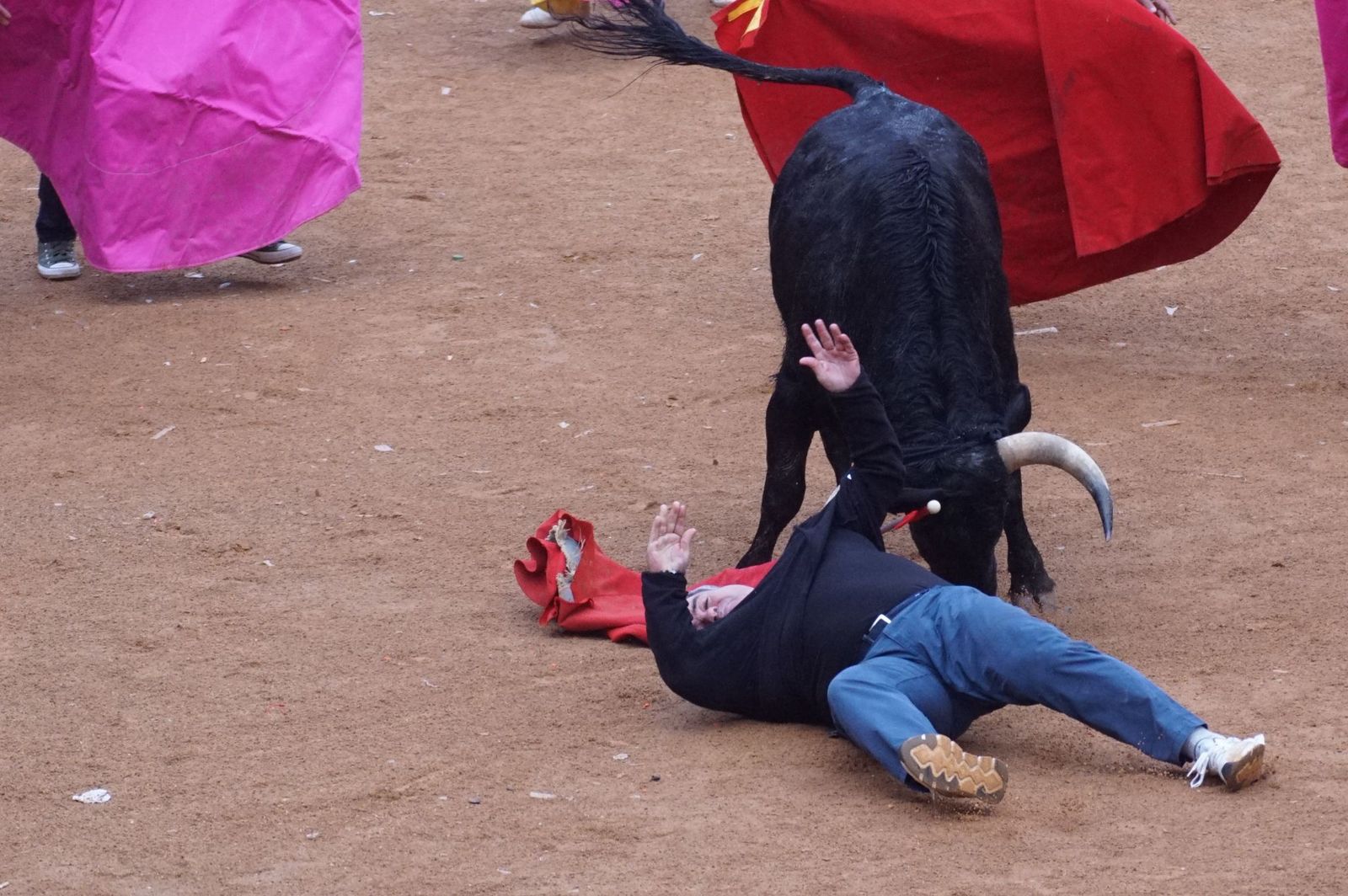 Capea matinal de domingo de carnaval en Ciudad Rodrigo (50).jpeg
