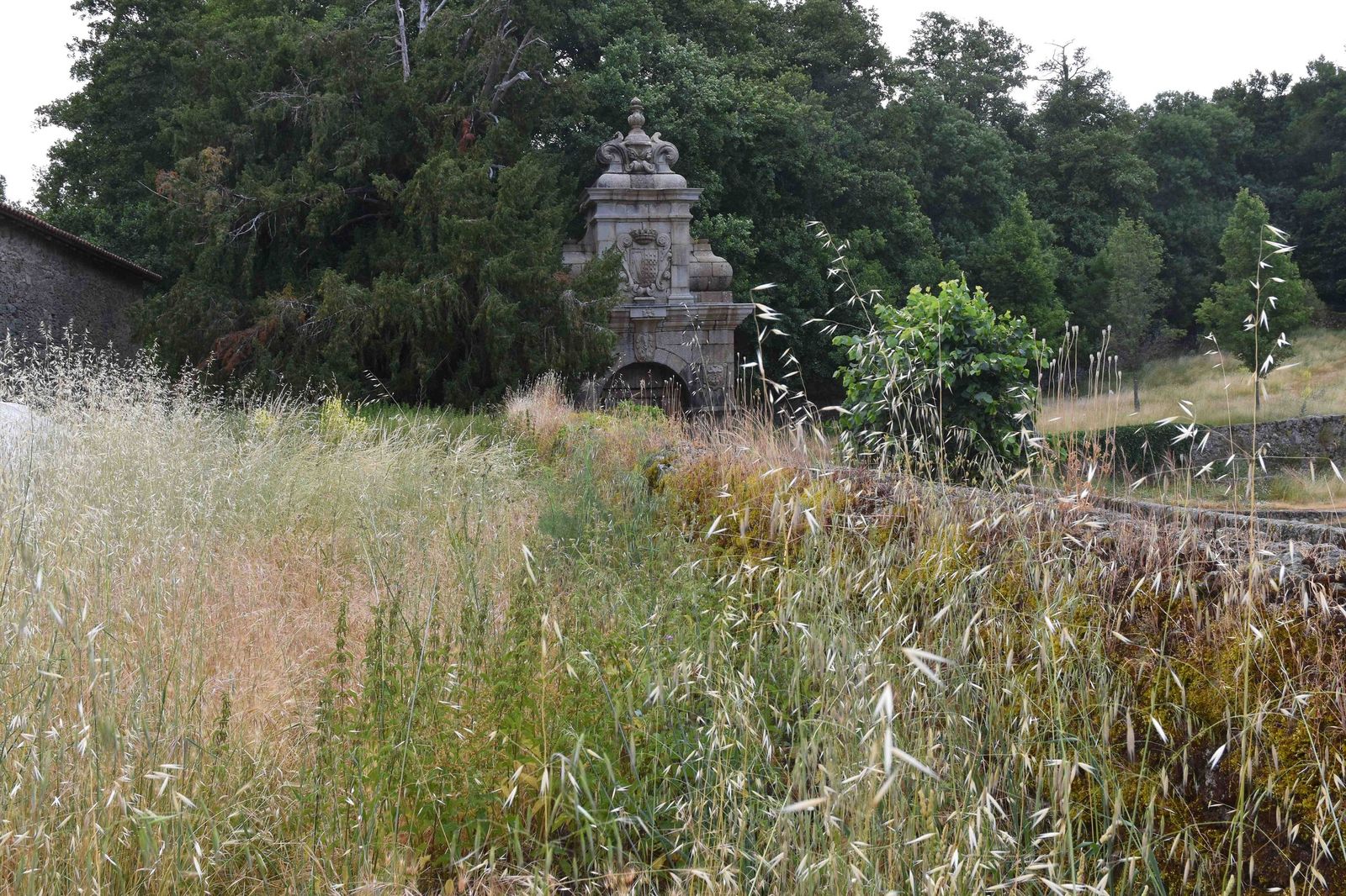 La llamada Huerta nueva de 1583, de El Bosque de Béjar sobre el paseadero norte del estanque, completamente invadida de altas herbáceas.