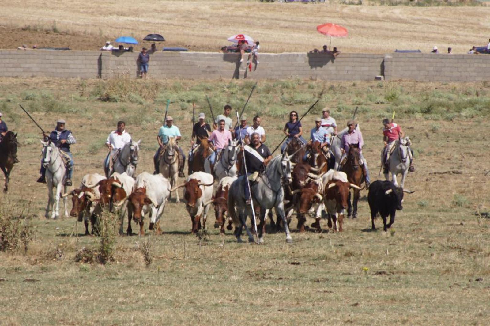 espantes-de-fuentesauco-54