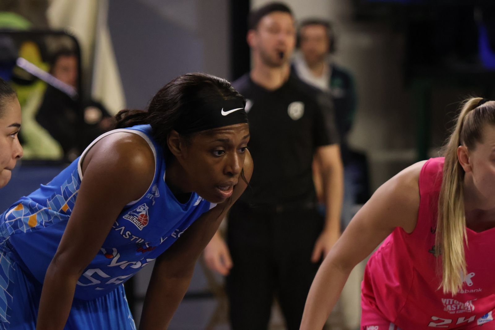 Perfumerías Avenida - Araski