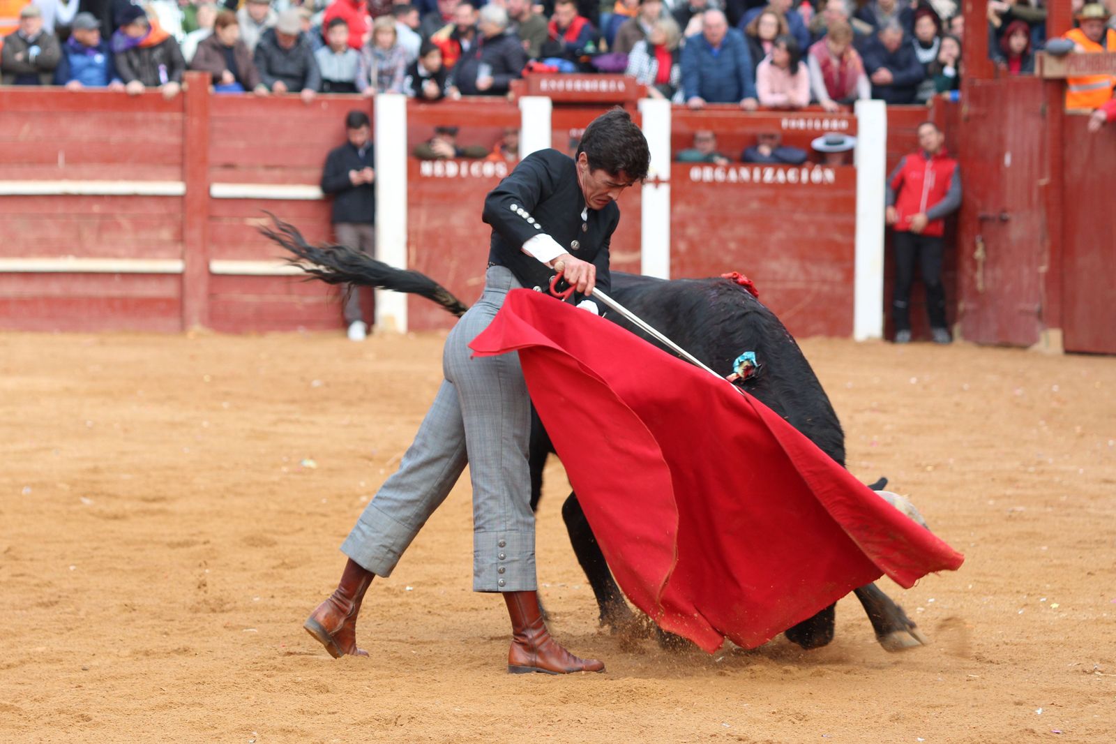 Chaves, El Capea y Pérez Pinto abren la Puerta Grande en el primer festival del Carnaval de Ciudad Rodrigo de 2023