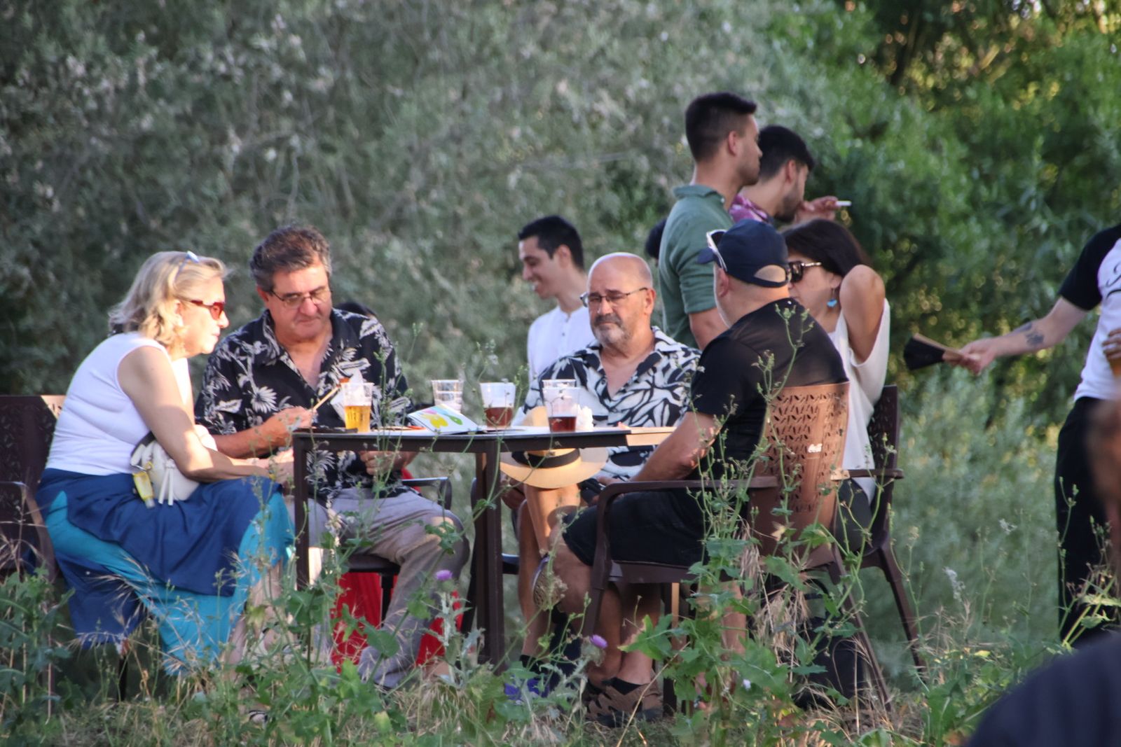 Festival cine en la Isla del Soto