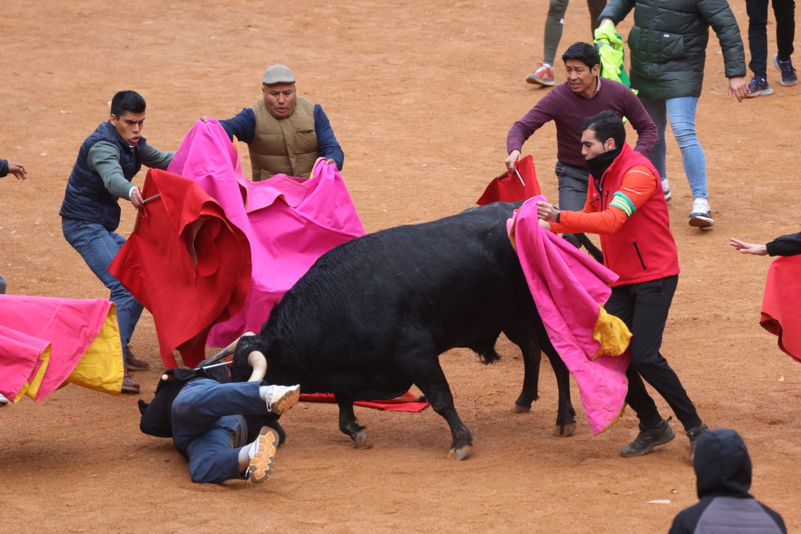 Capea de domingo en el Carnaval del Toro 2026 de Ciudad Rodrigo