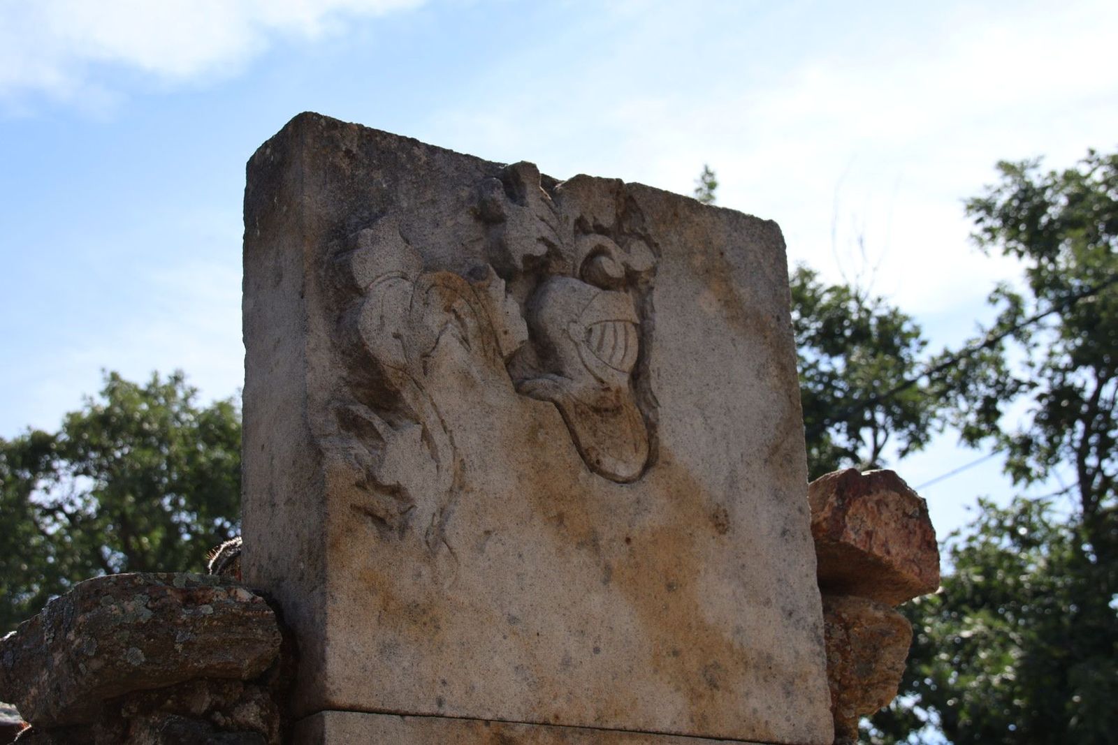 20230614095213-img-2709