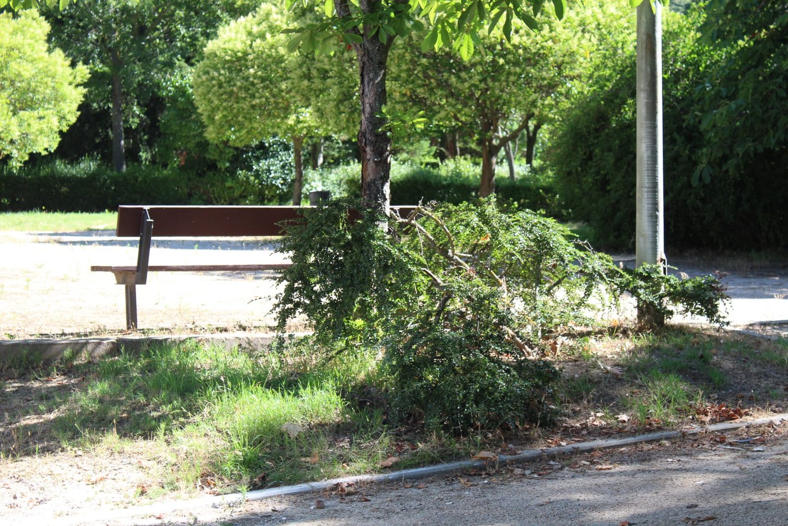 whatsapp-image-2024-07-02-at-11-30-13-2