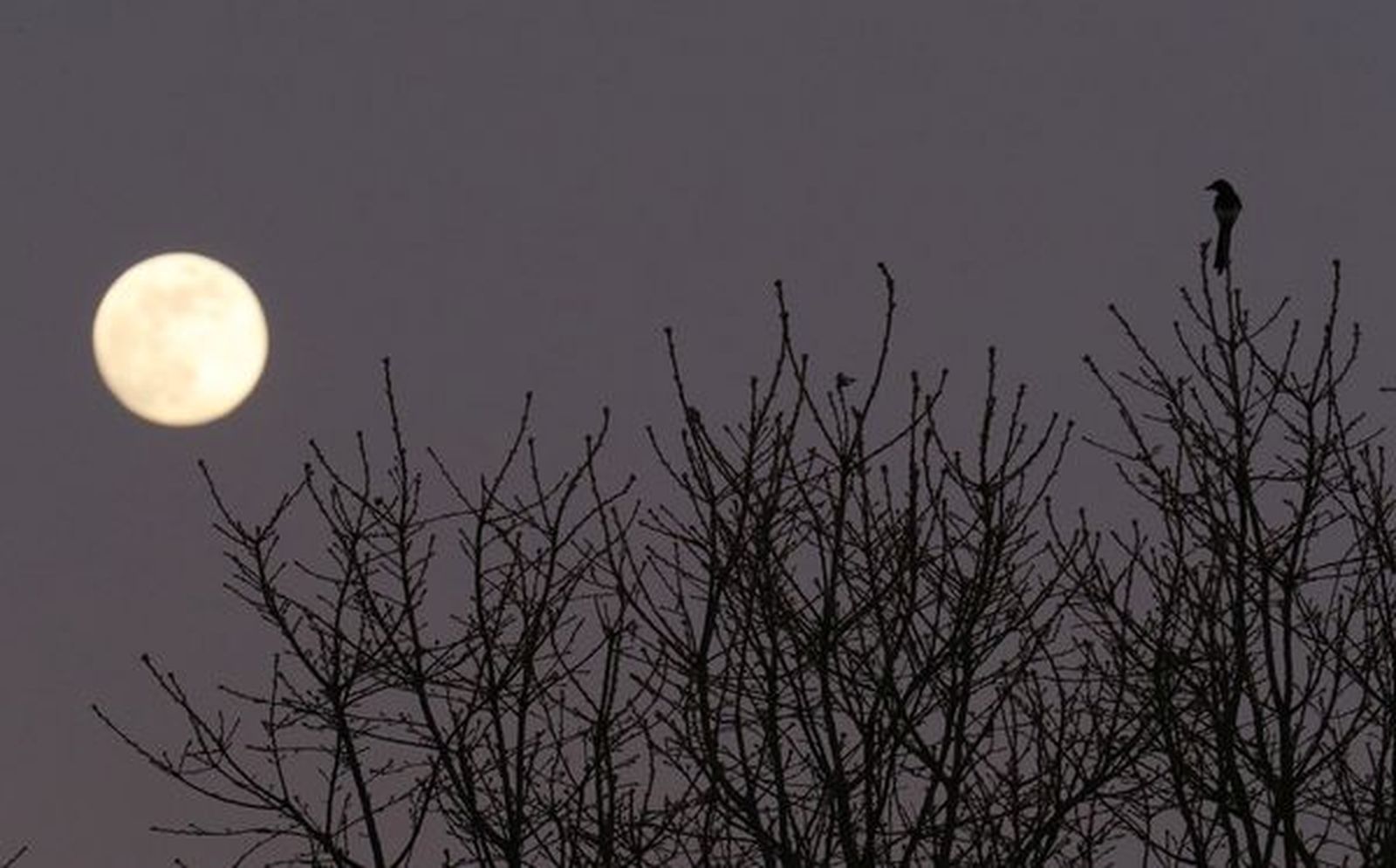 Luna llena. Foto César Sánchez | ICAL