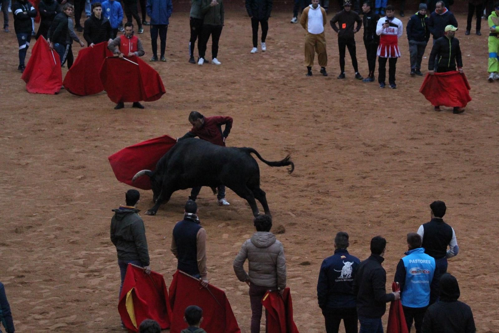 ambiente-y-capea-vespertina-sabado-de-carnaval-en-ciudad-rodrigo-2025-fotos-belen-hurtado-11