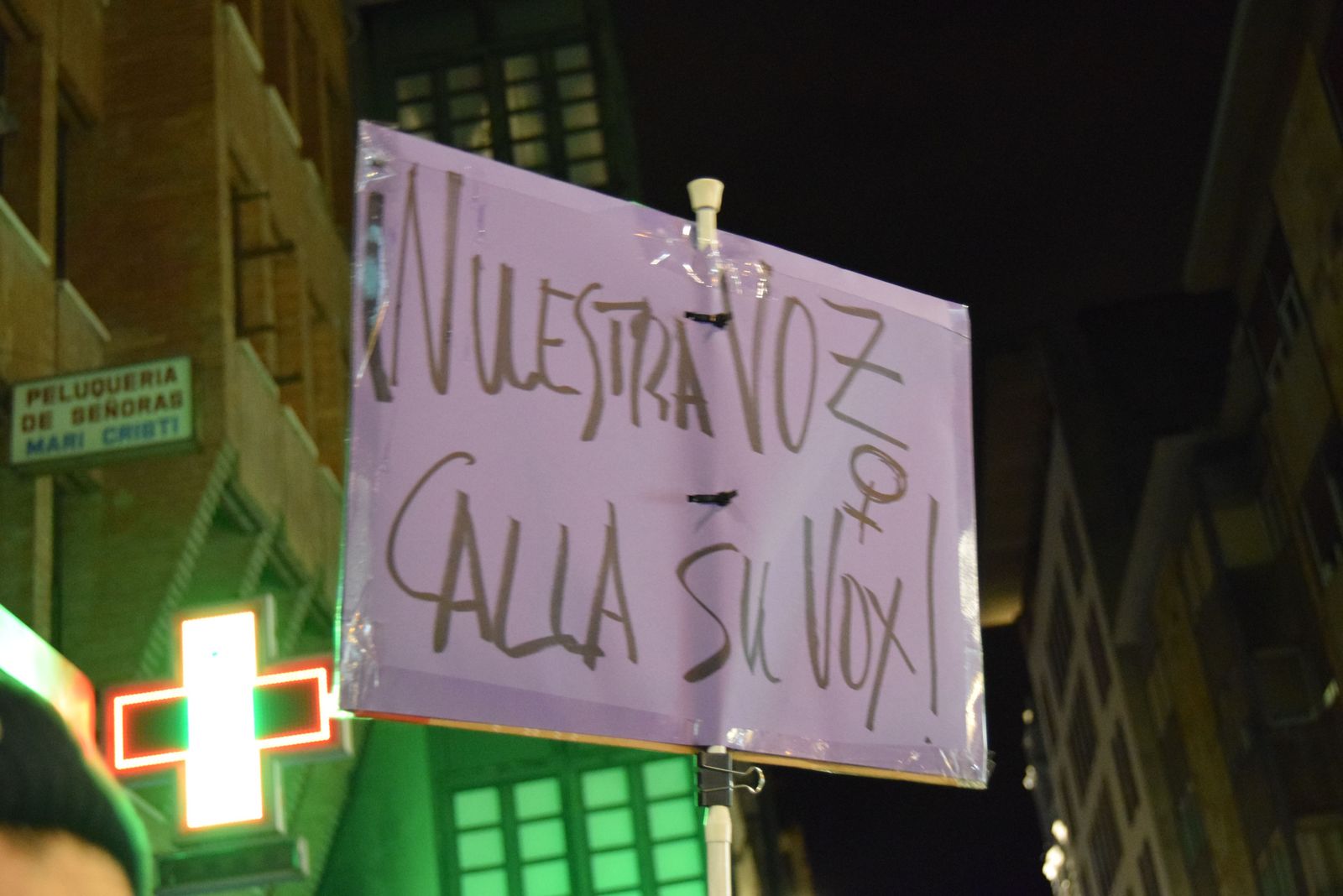 manifestacion-por-el-8m-en-zamora-68