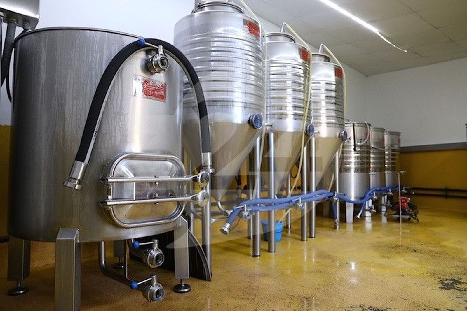 Abadía de Aribayos, primera microcervecera en Moraleja del Vino