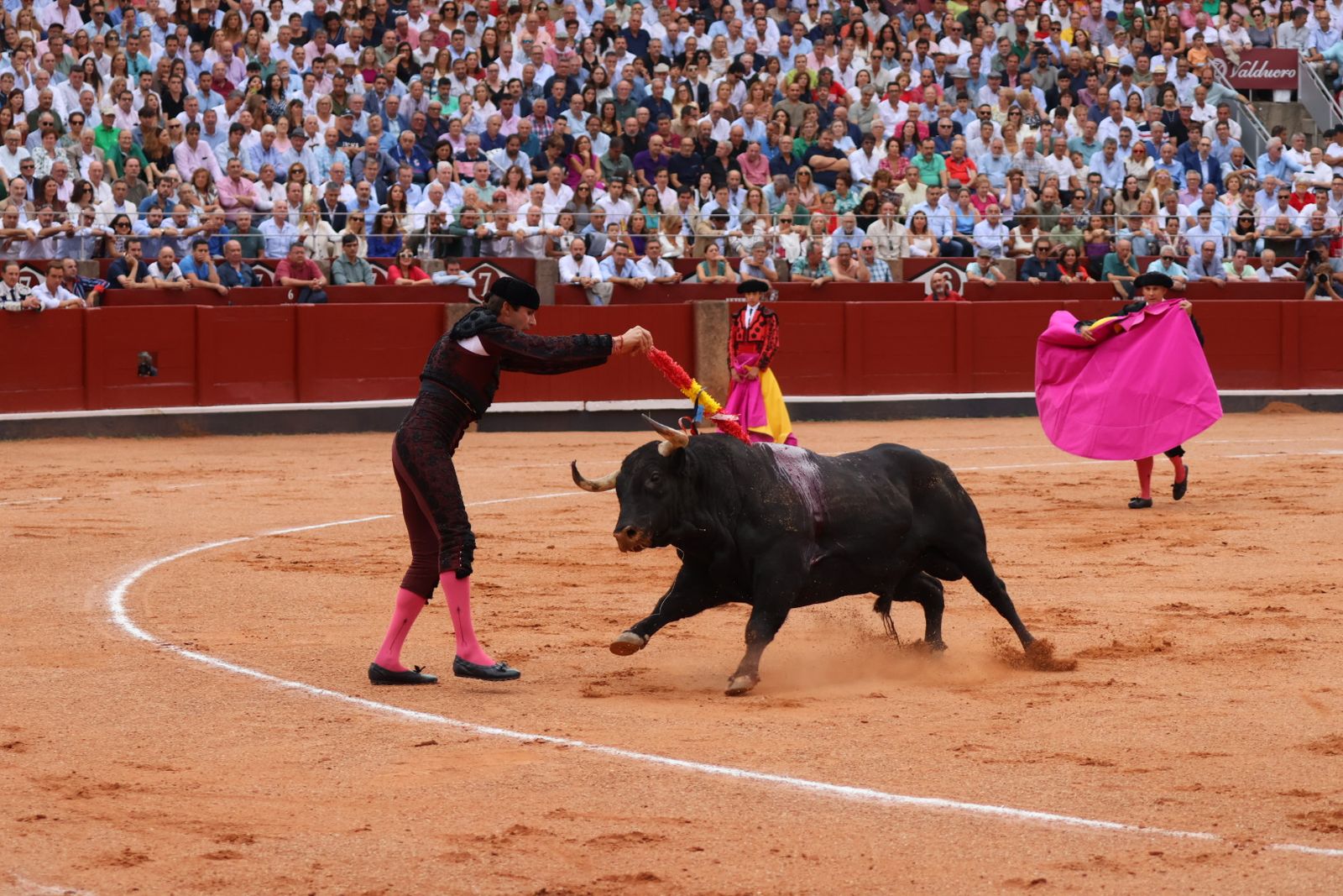 Ismael Martín, Marco Pérez y el aclamado regreso de Morante de la Puebla: su paso por La Glorieta en imágenes