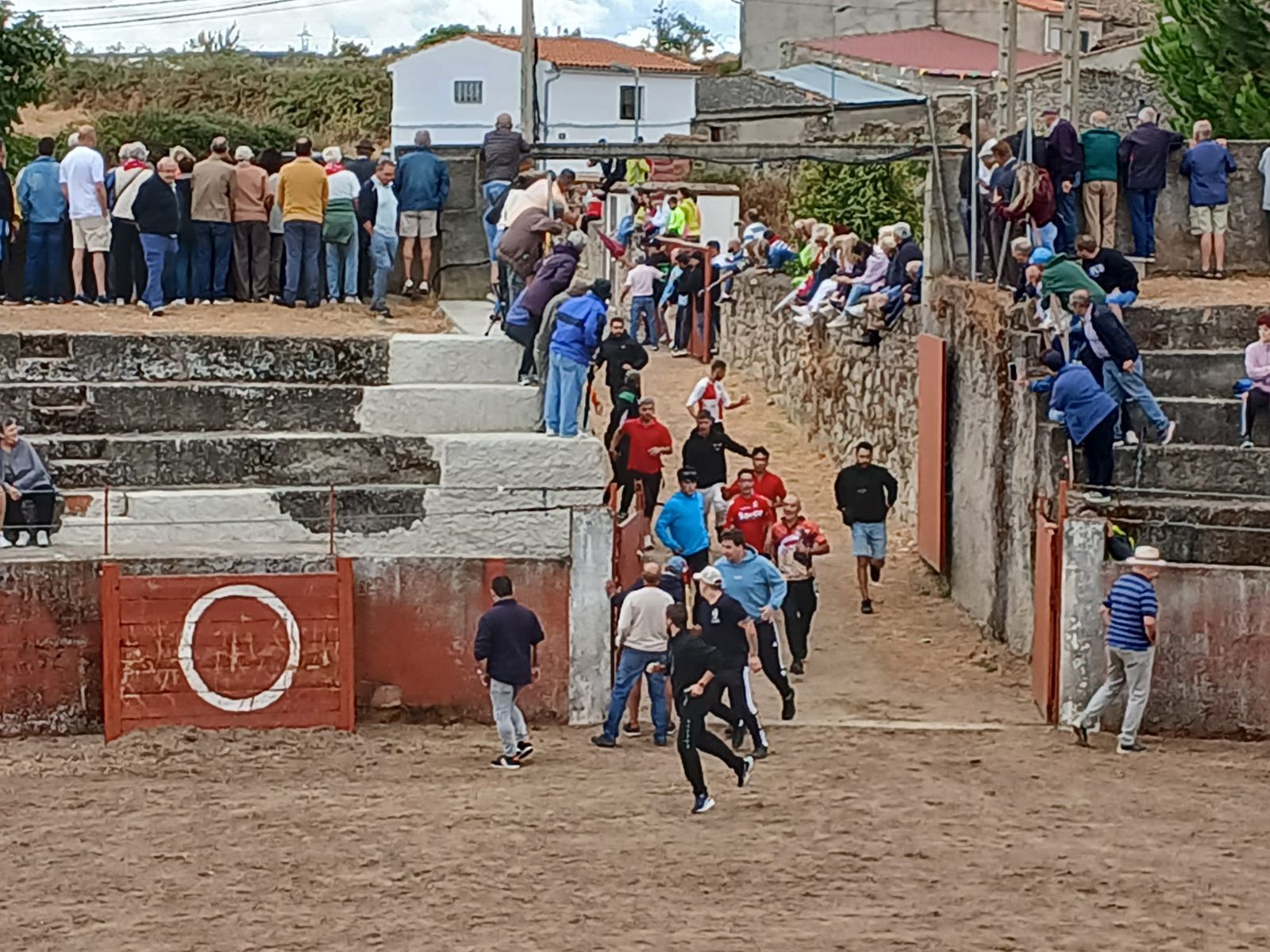 Segundo encierro con novillos de Valdeflores en Pereña de la Ribera