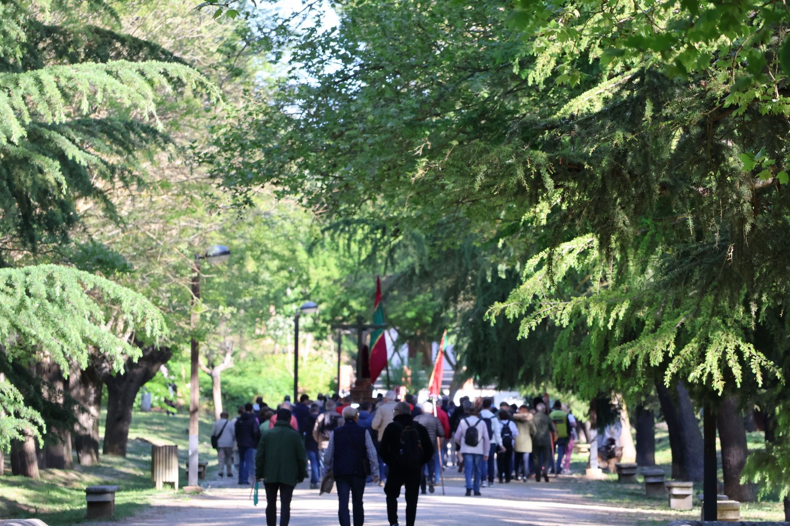 Romería Cristo Valderrey 2025