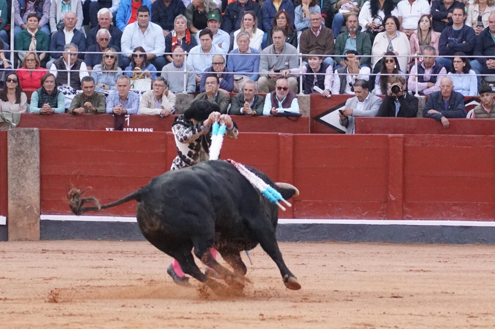corrida-concurso-momentos-mas-destacados-del-ultimo-festejo-de-abono-de-la-feria-taurina-virgen-de-la-vega-2024-fotos-carlos-h-g-y-juanes-23