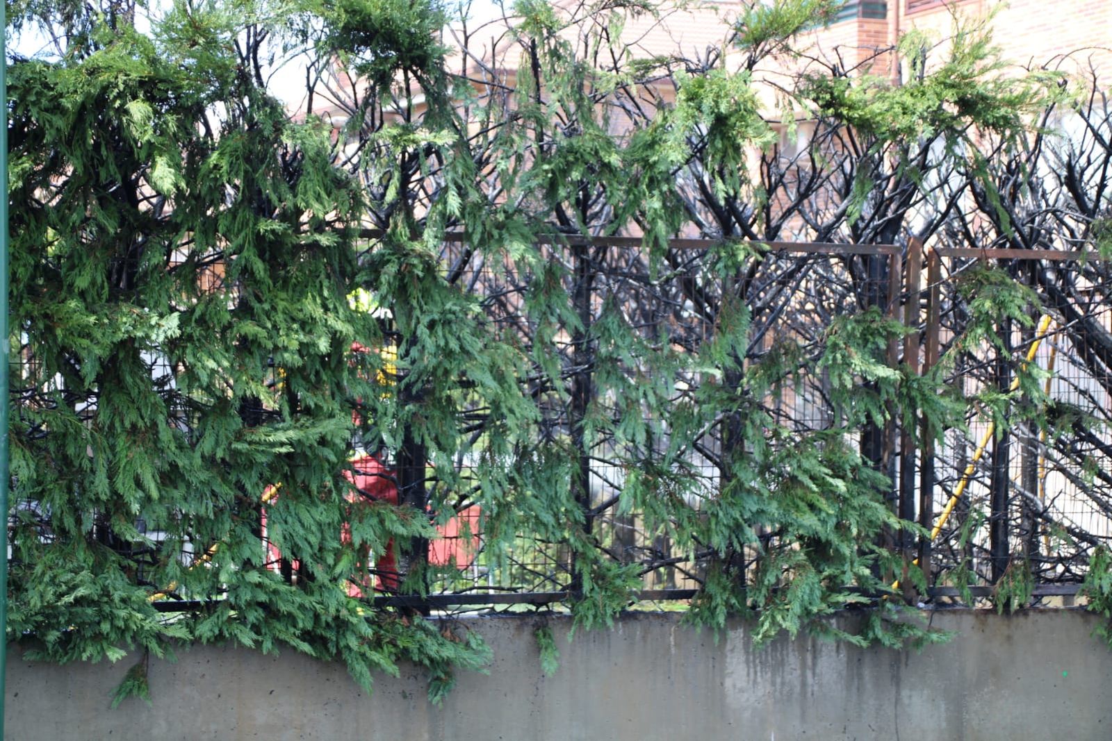 Incendio en una casa de Villamayor junto al Parque Científico