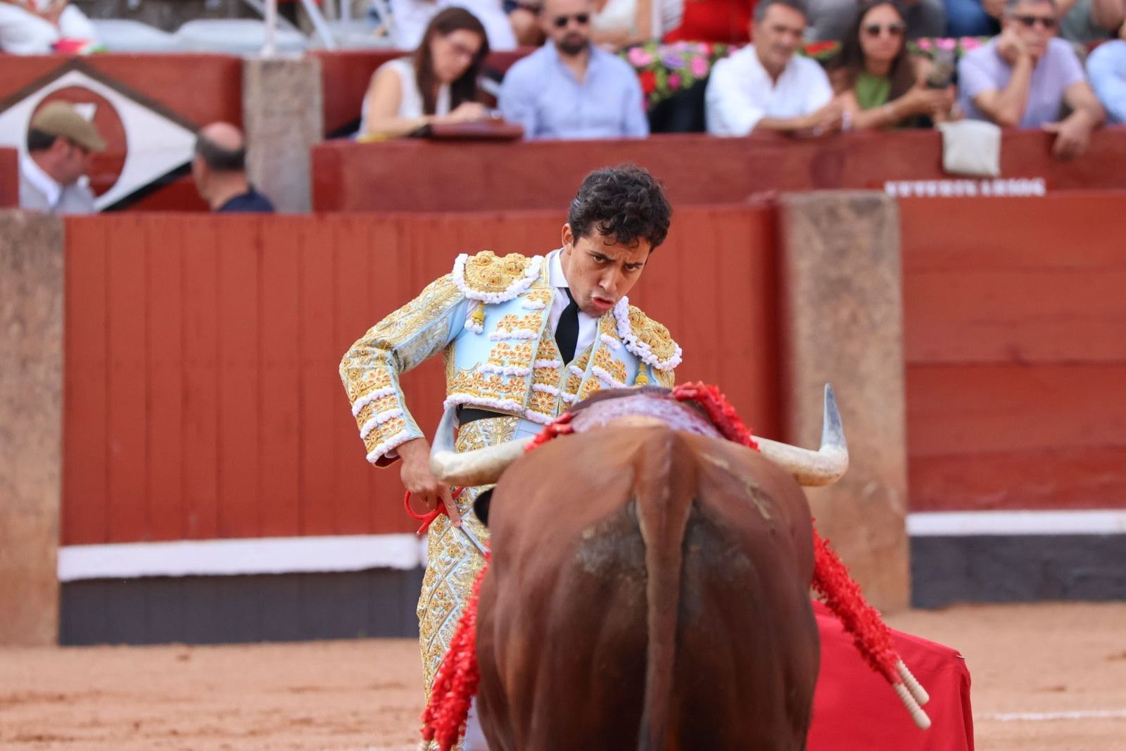 20230910174425-img-1888