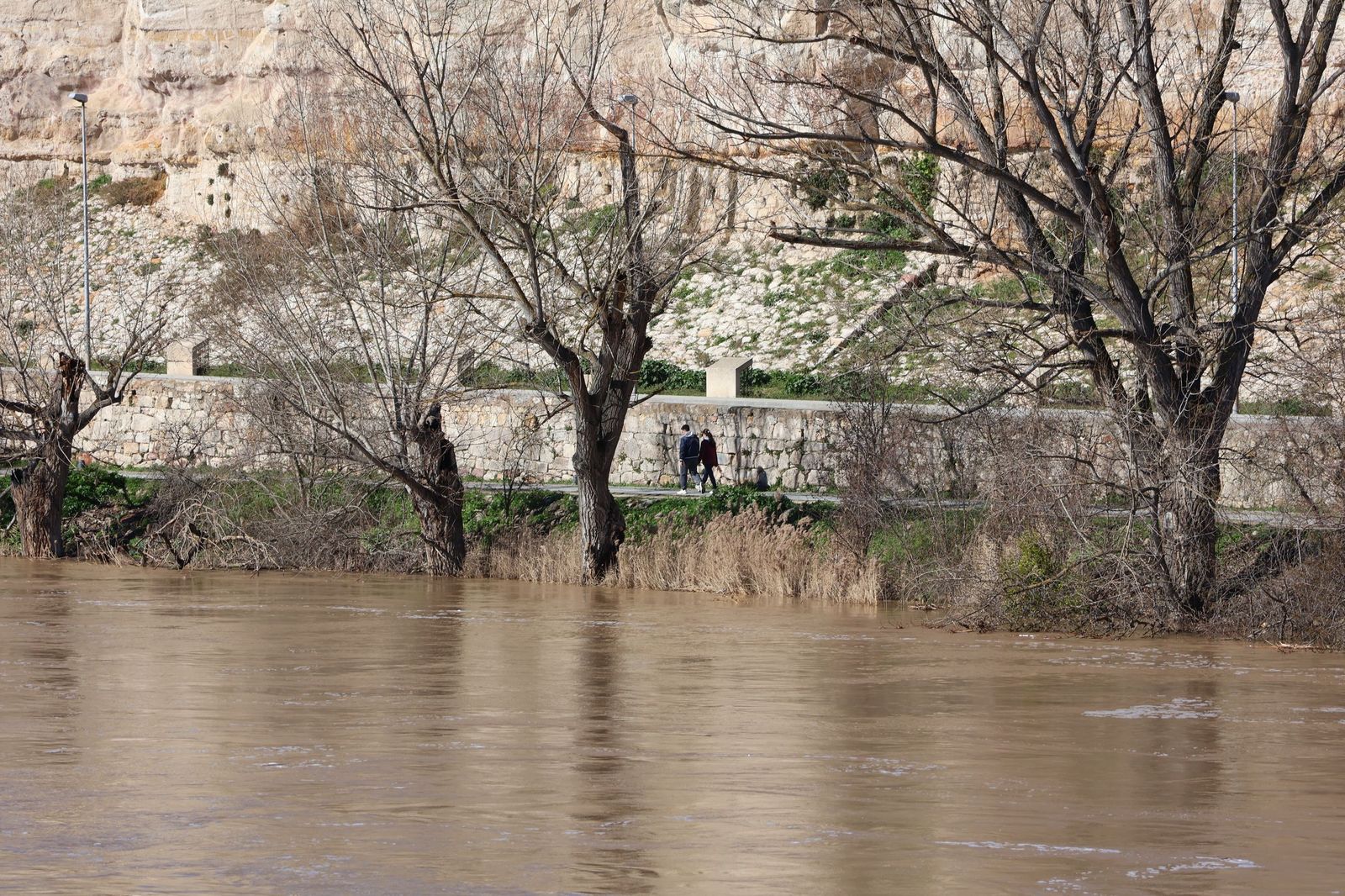GALERÍA | El Duero muestra su fuerza con una importante crecida tras las lluvias