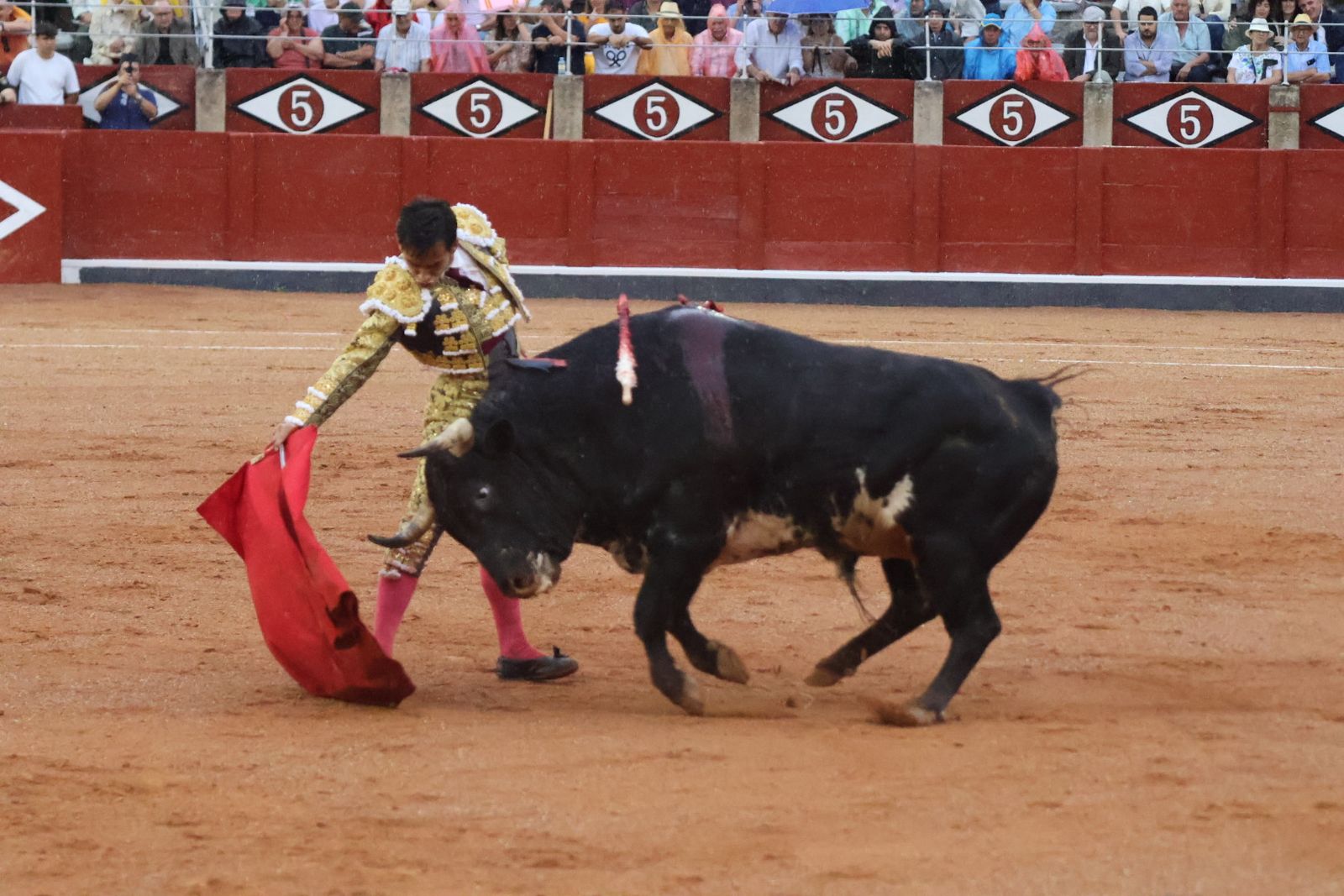 Ismael Martín, Marco Pérez y el aclamado regreso de Morante de la Puebla: su paso por La Glorieta en imágenes