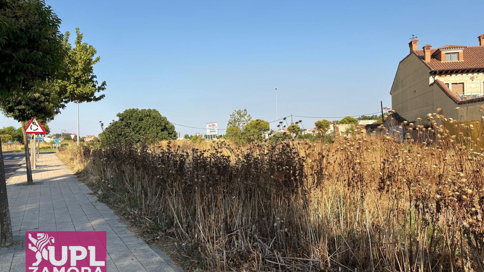 Solares de Zamora capital llenos de maleza. UPL