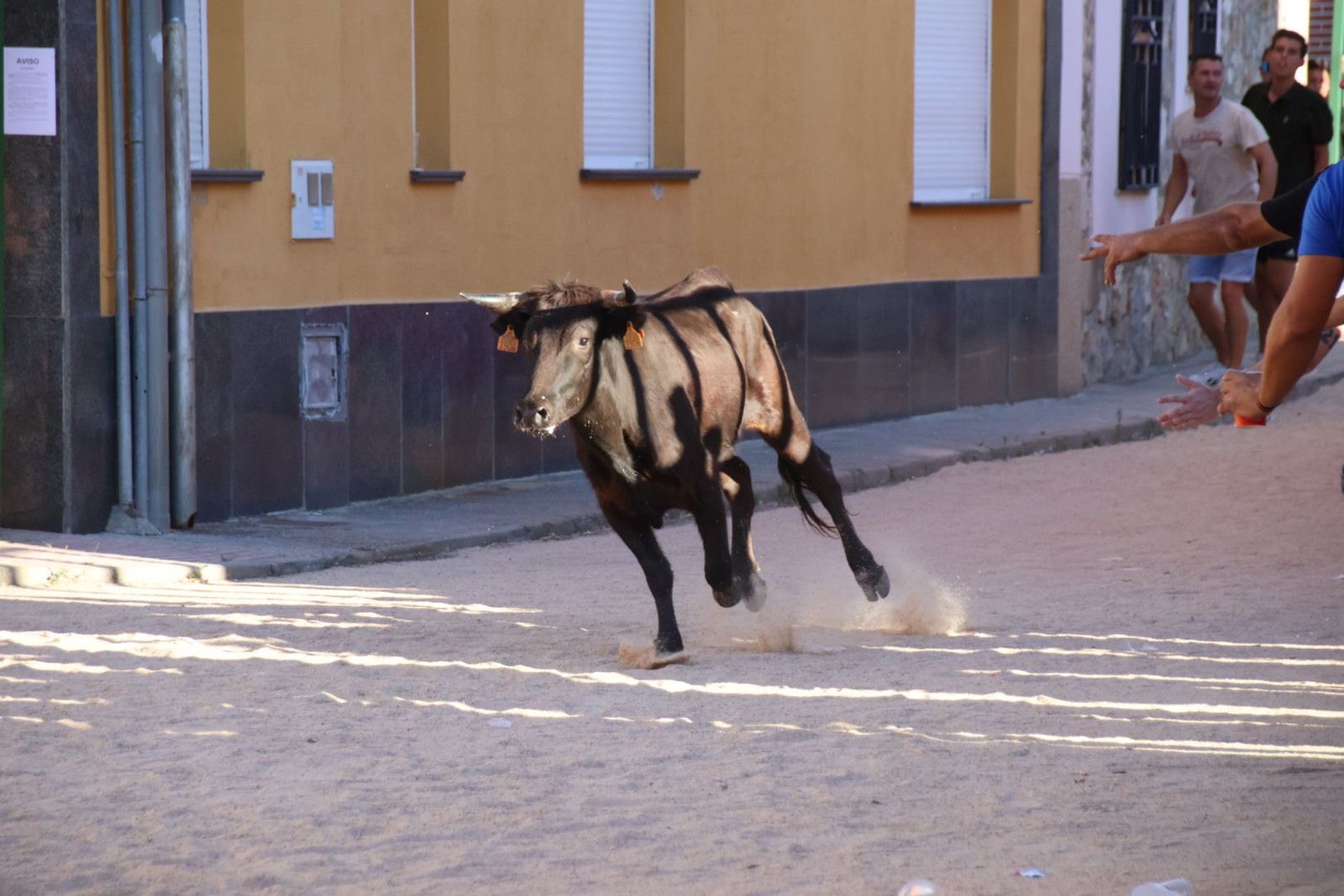 20240817185459-img-4504