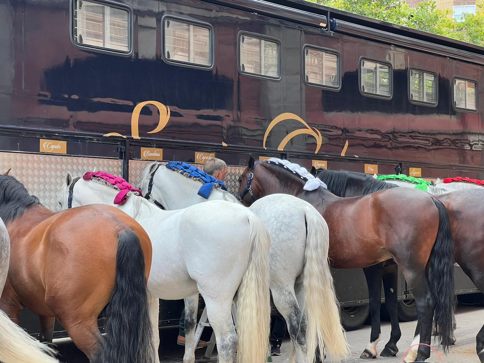 whatsapp-image-2023-09-09-at-12-44-14