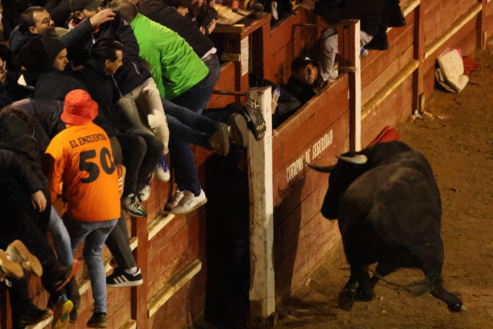Capea Nocturna del Viernes en Ciudad Rodrigo