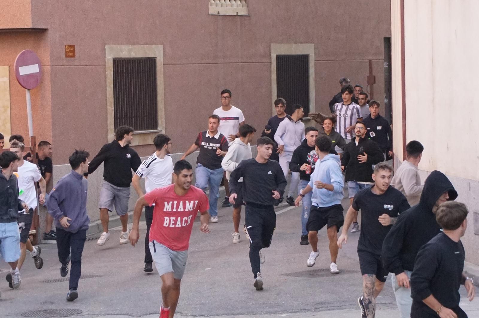 Encierro y capea en Alba de Tormes