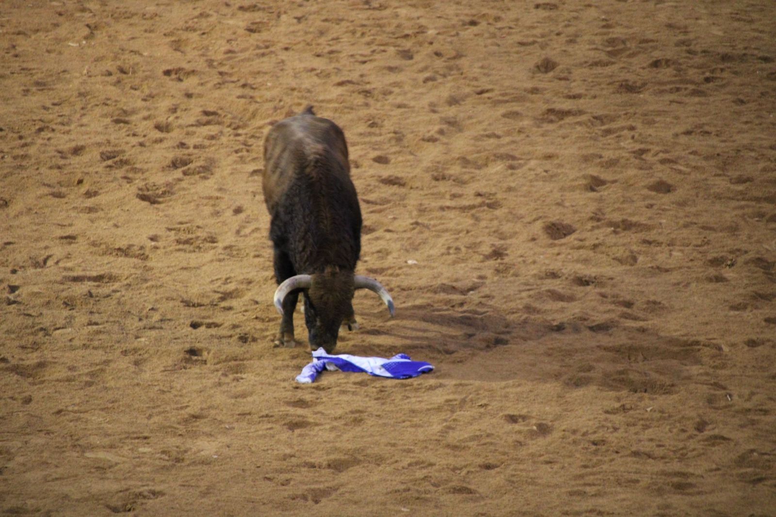 whatsapp-image-2025-03-02-at-19-32-43-3