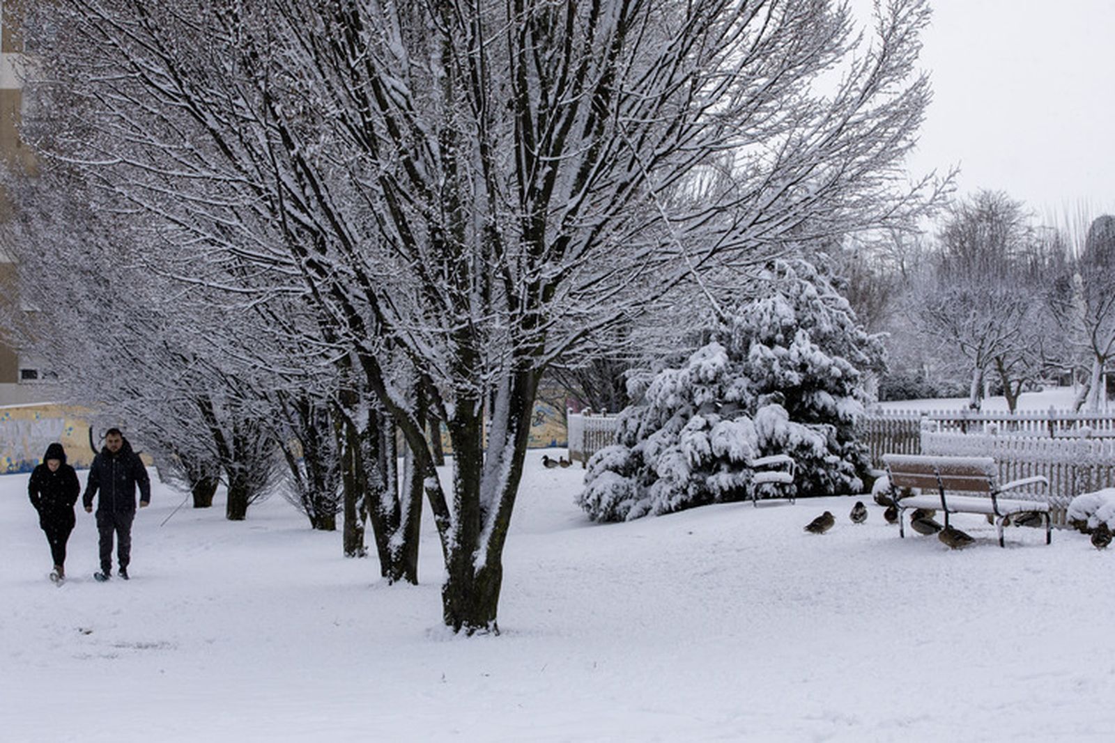 Nieve en Ávila