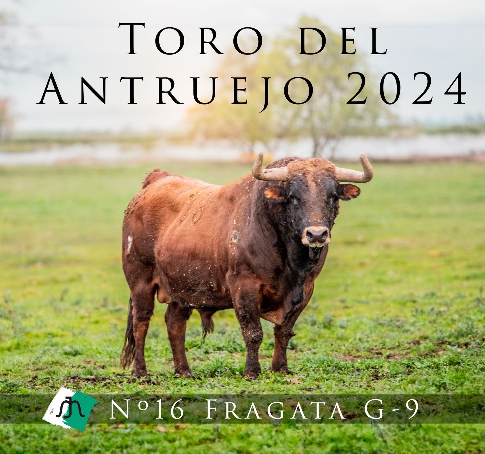 Fragata Toro Antruejo 2024 (1) Fragata Toro Antruejo 2024 (1)