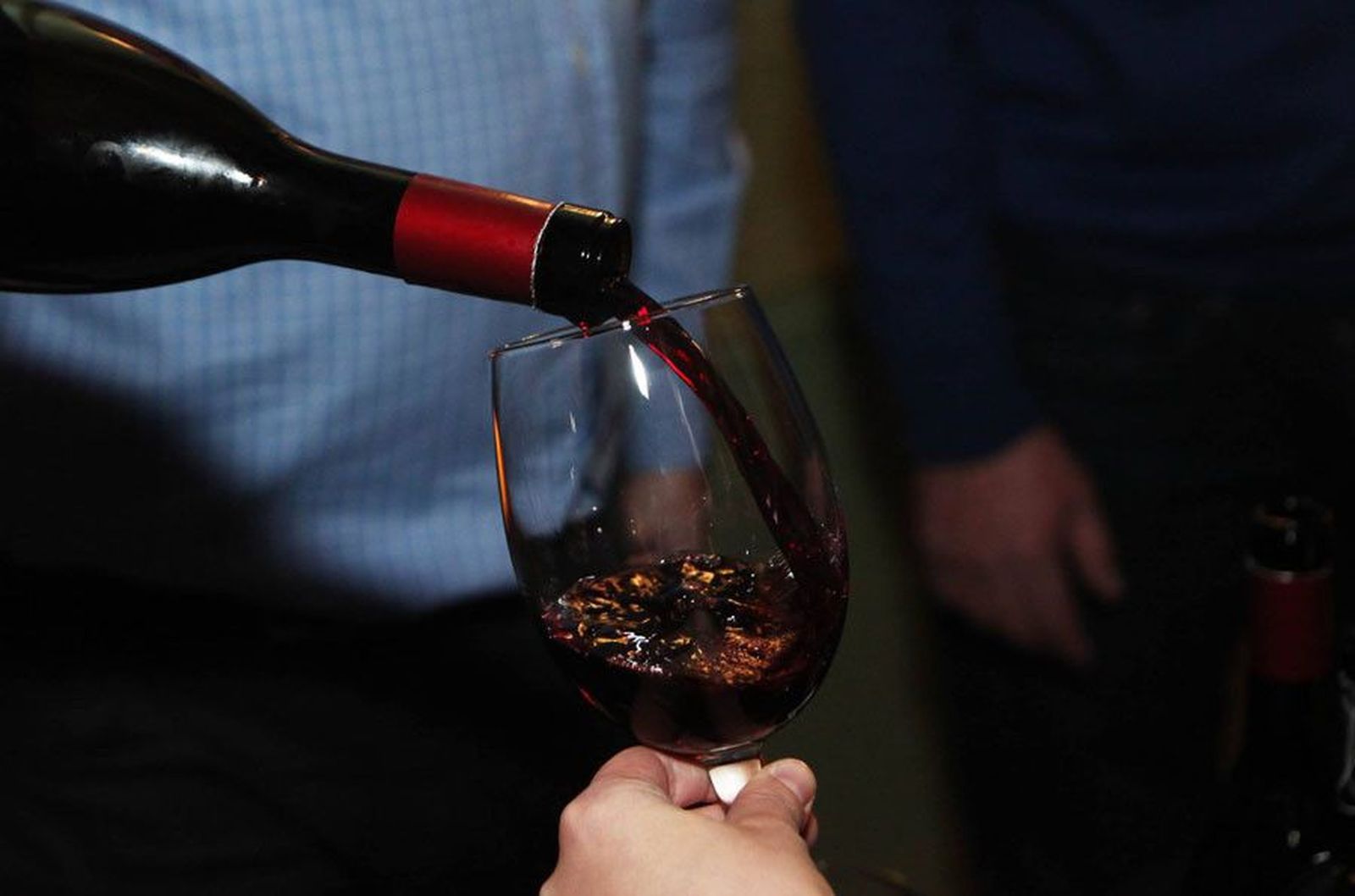 Vino dotoro copa botella