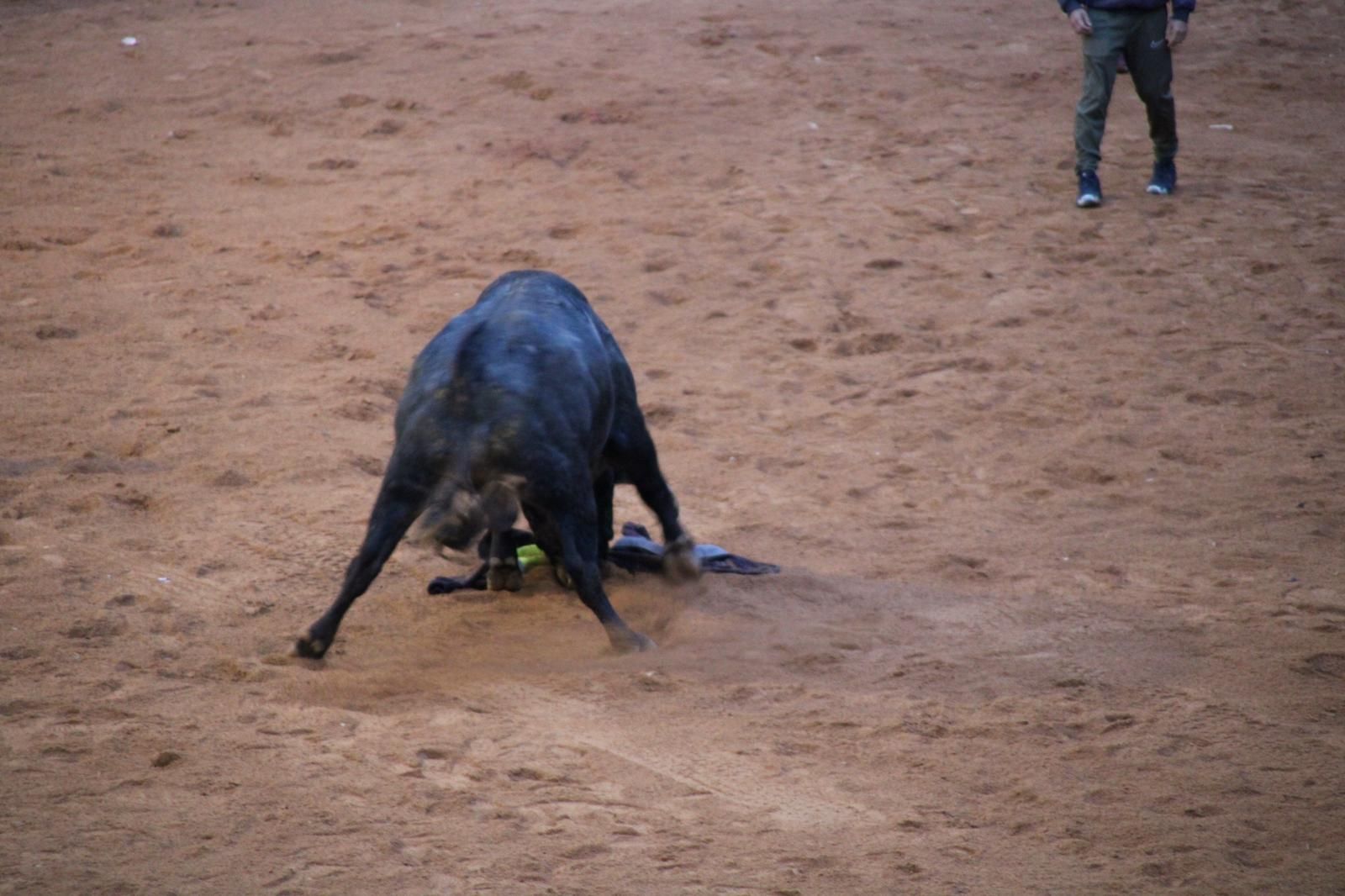 whatsapp-image-2025-03-02-at-19-32-39-2