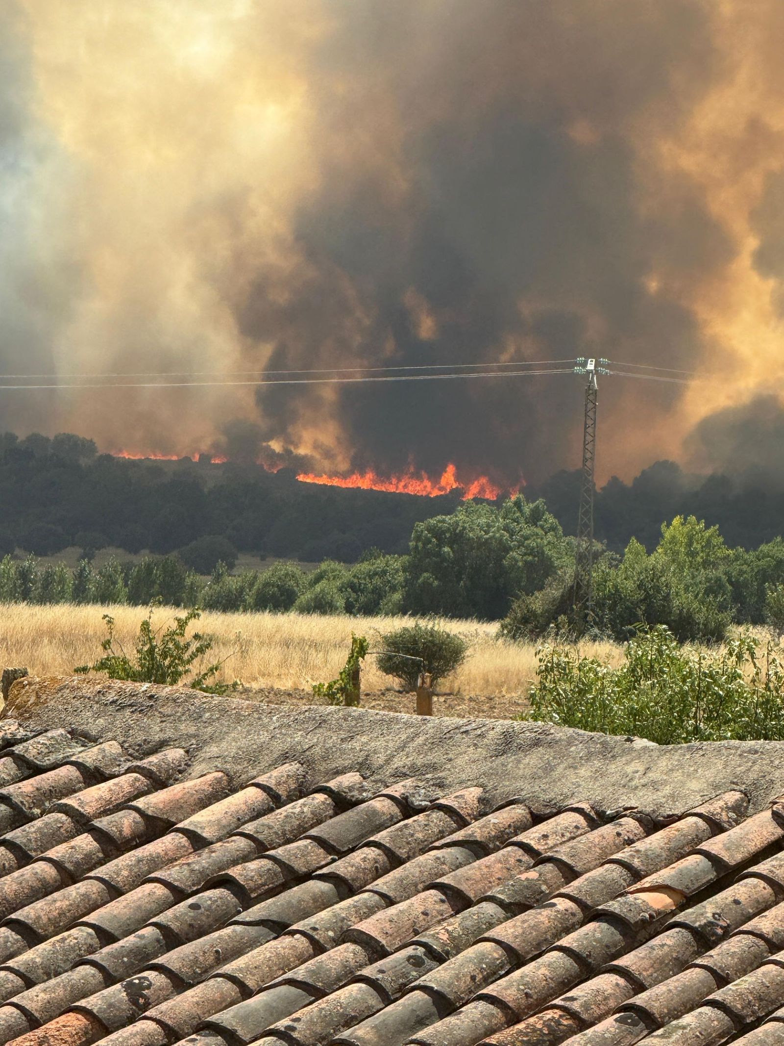 Las desoladoras imágenes del incendio que ha afectado a Molezuelas de la Carballeda, Uña de Quintana y Cubo de Benavente