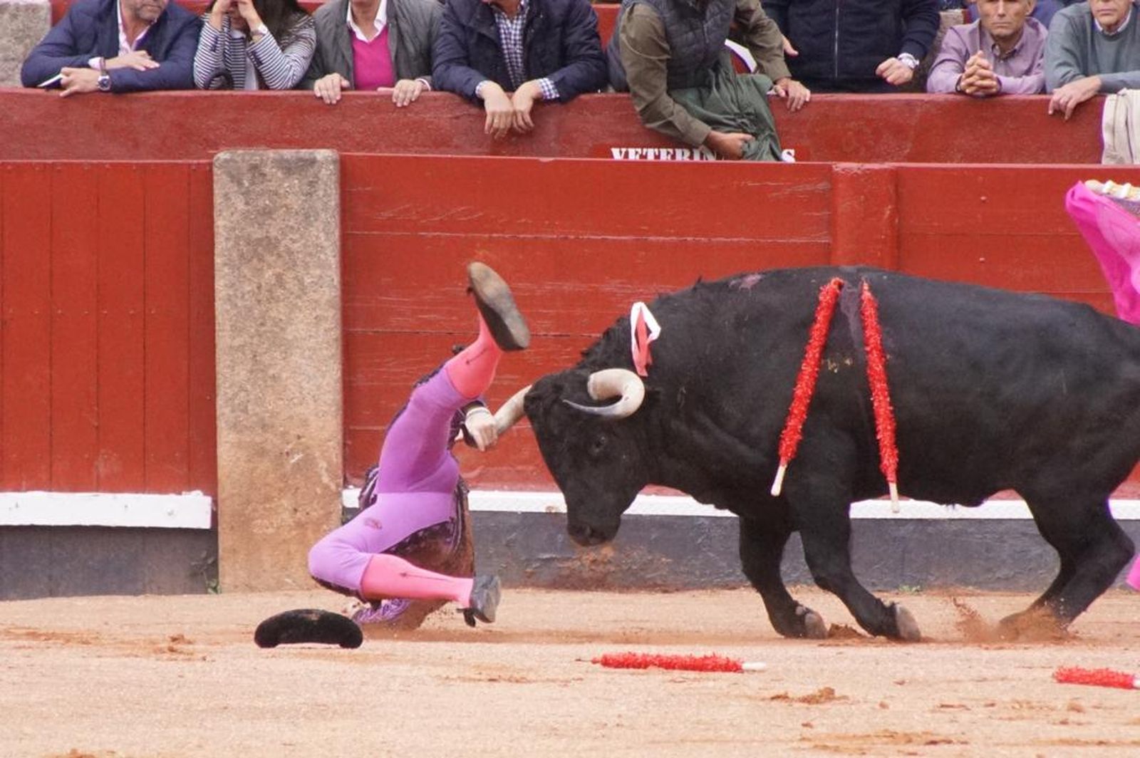 whatsapp-image-2023-09-21-at-18-46-27