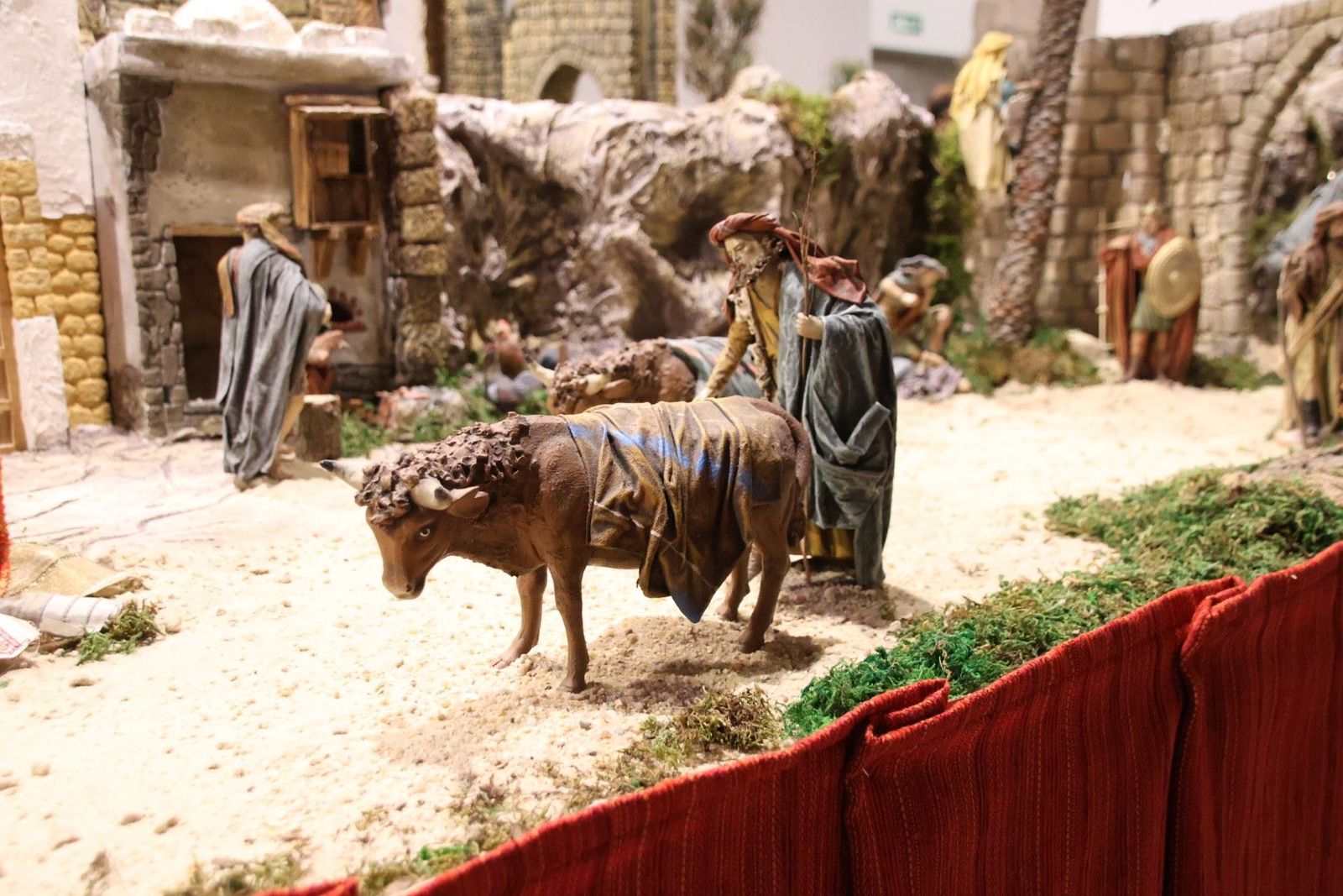 20231201133357-img-5000