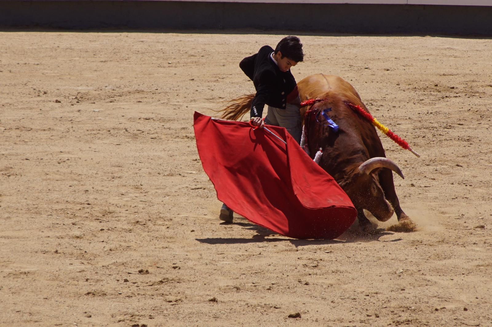 marco-perez-estreno-de-oro-en-las-ventas-13