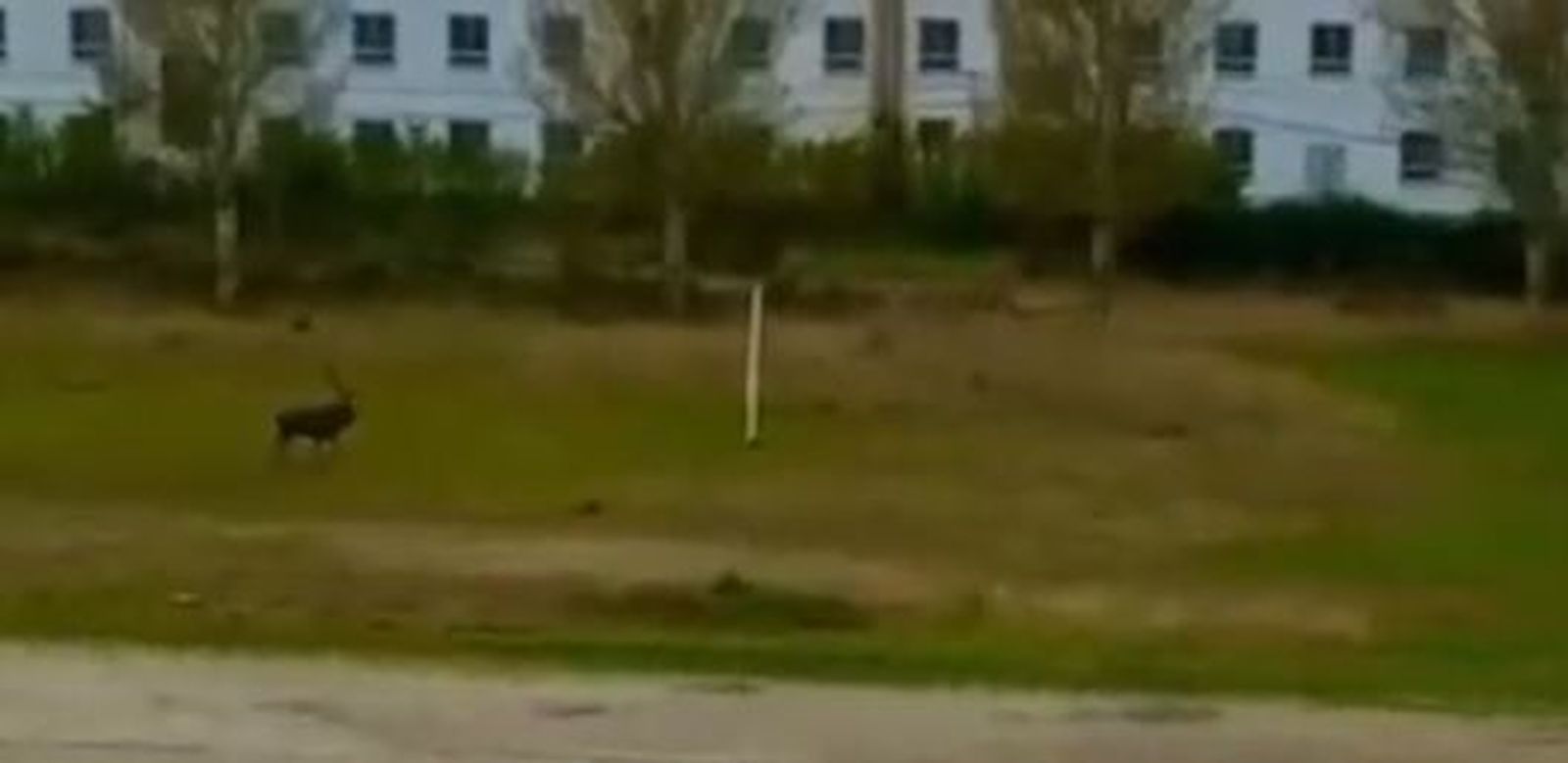 Un fotograma del vídeo