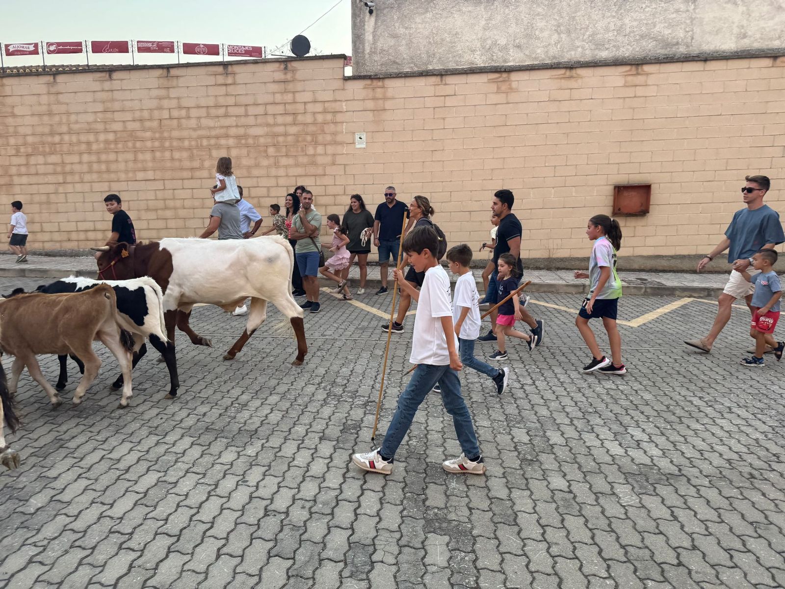 Encierro infantil de Mini Bueyes en Guijuelo durante sus fiestas 2025