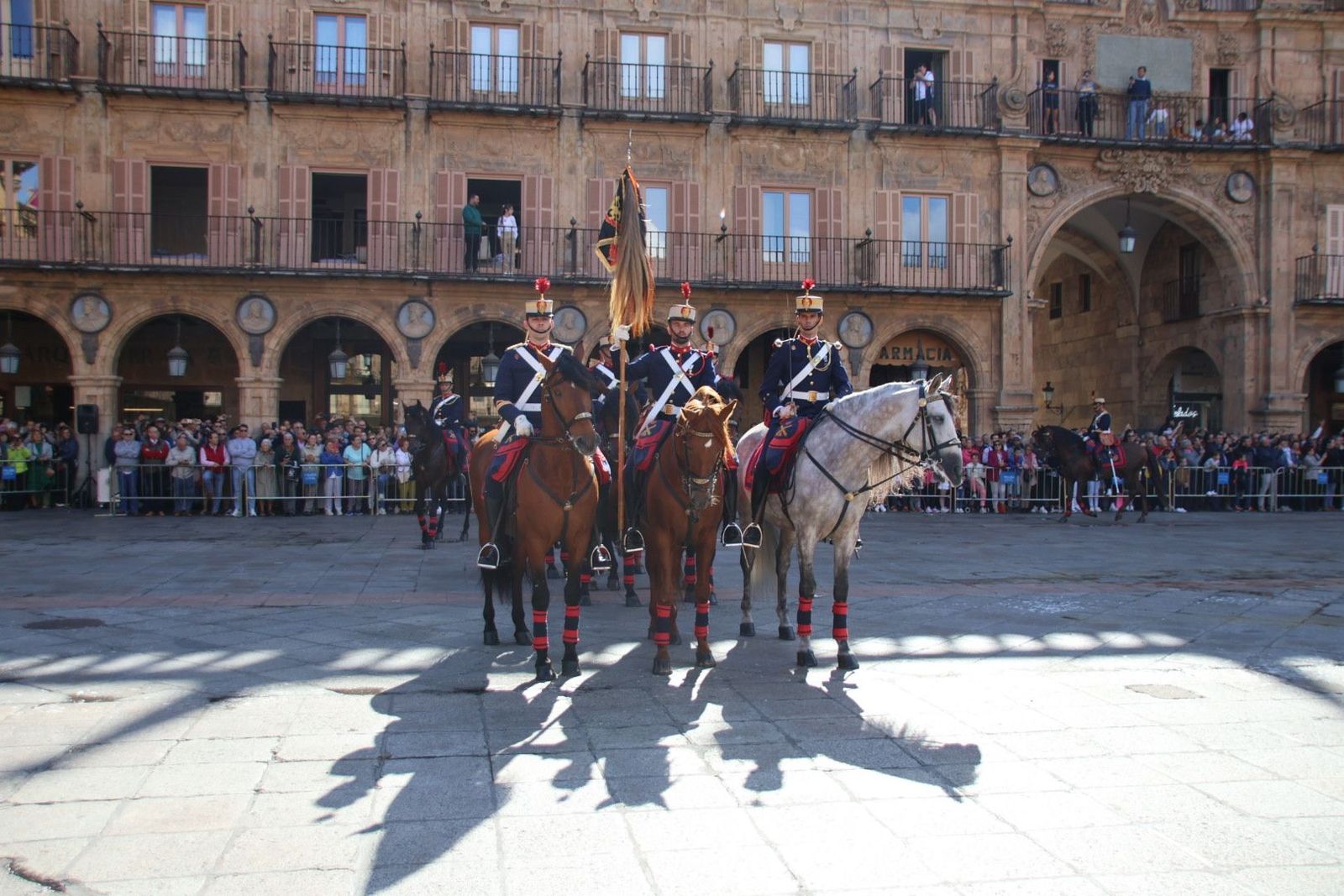 20230917104206-img-6089