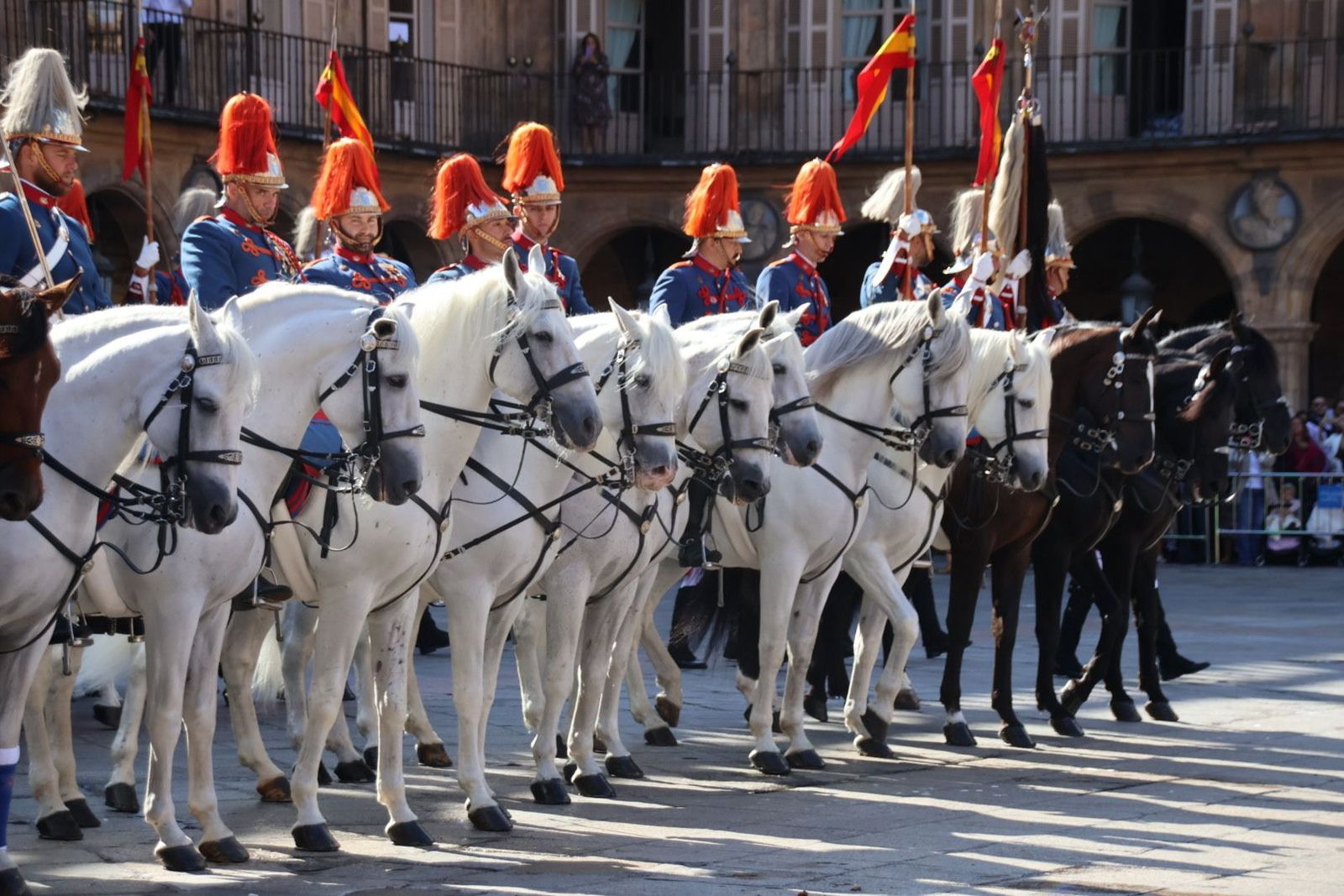 20230917104413-img-6105