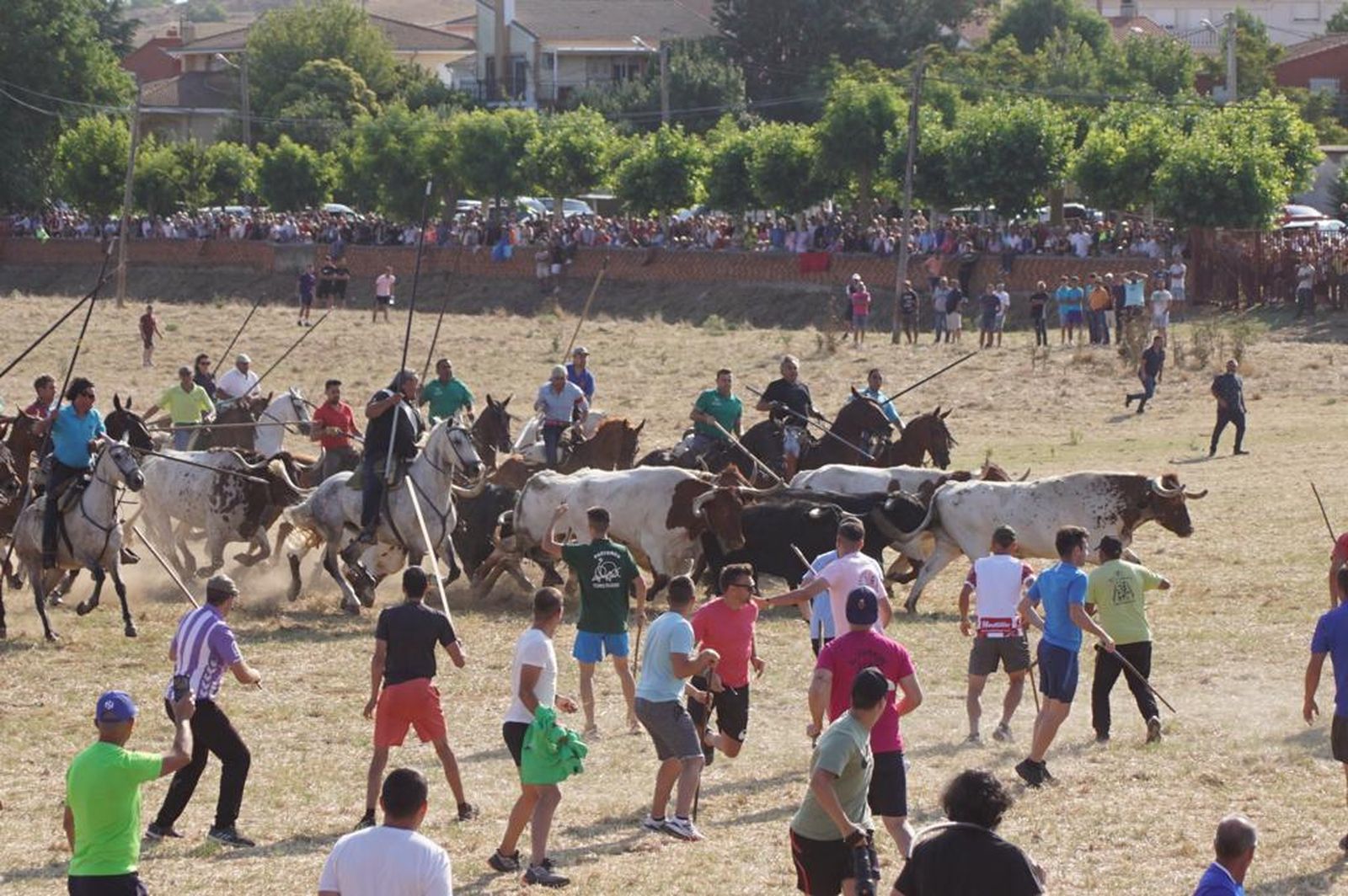 espantes-de-fuentesauco-12